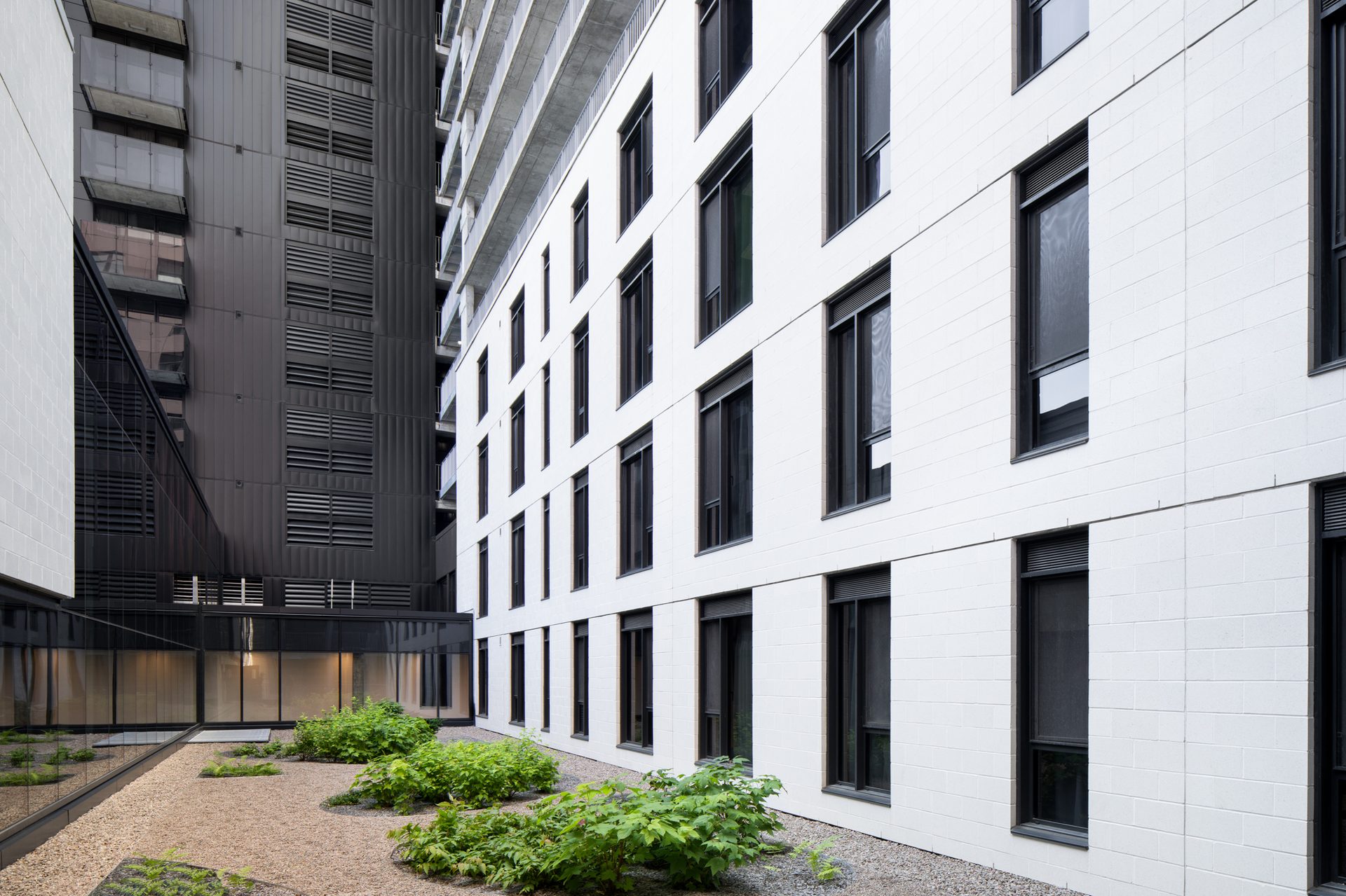 Urban design, Tower block, Residential area, Plant, Building, Window, Fixture, Rectangle, Condominium, Wall