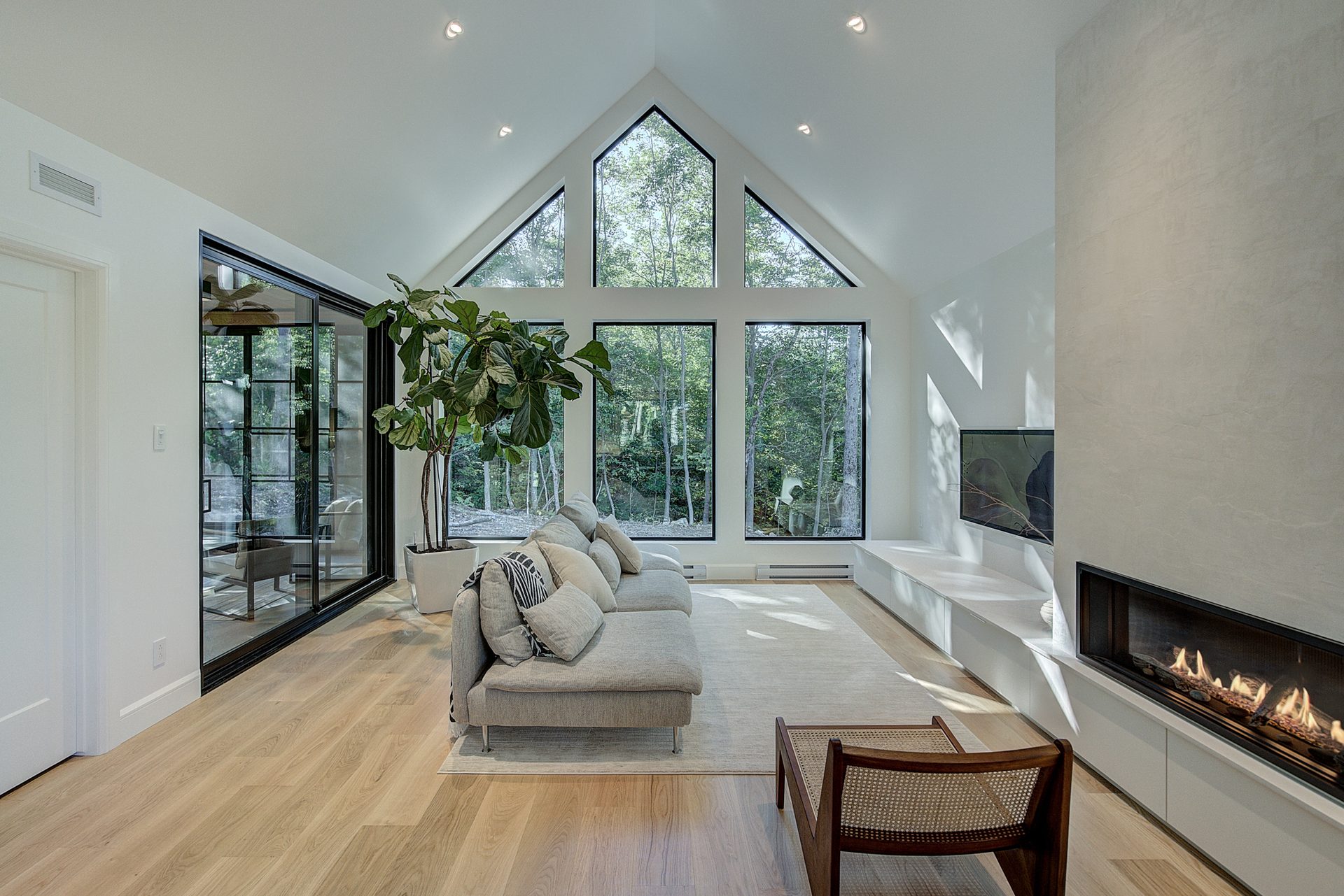 Living room, Interior design, Property, Furniture, Window, Building, Couch, Wood, Plant, Hall