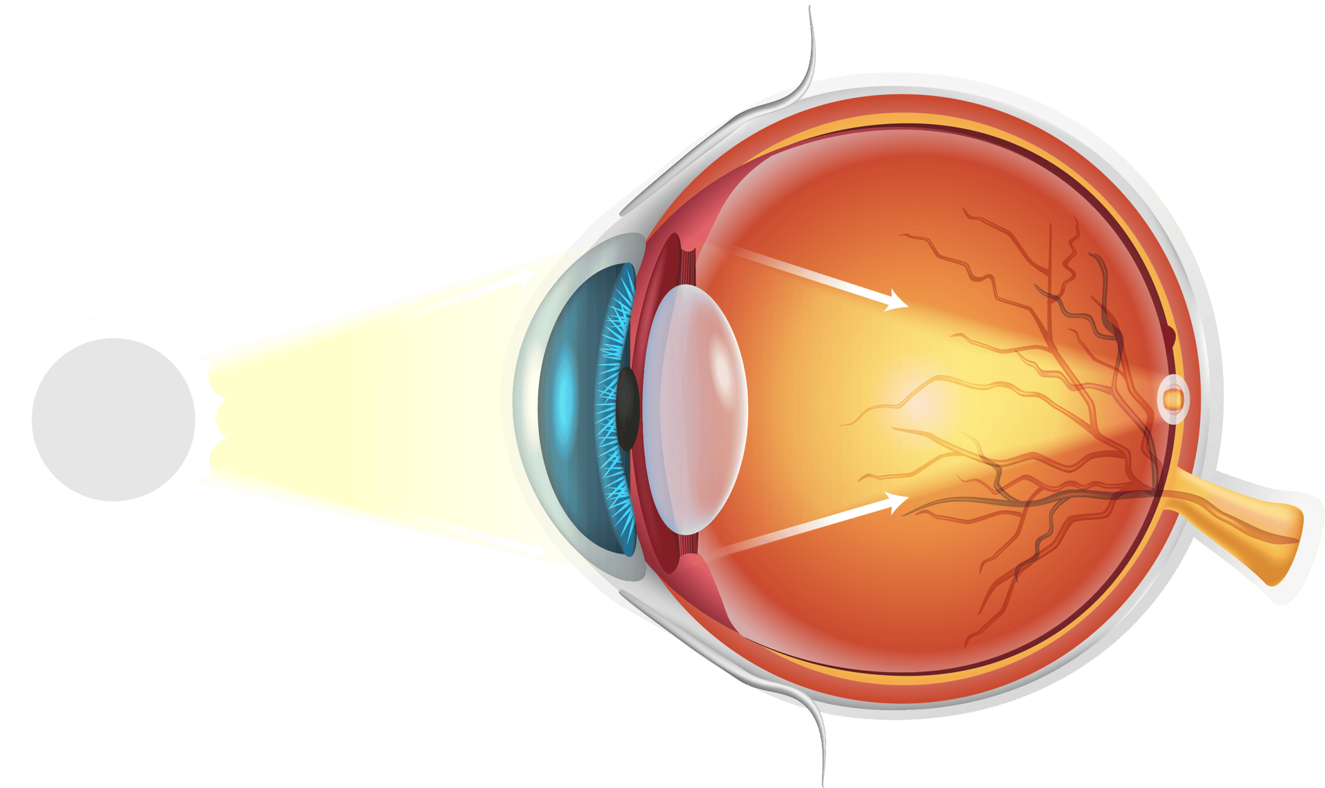 Magnifying glass, Vision care, Automotive lighting, Goggles, Eyewear