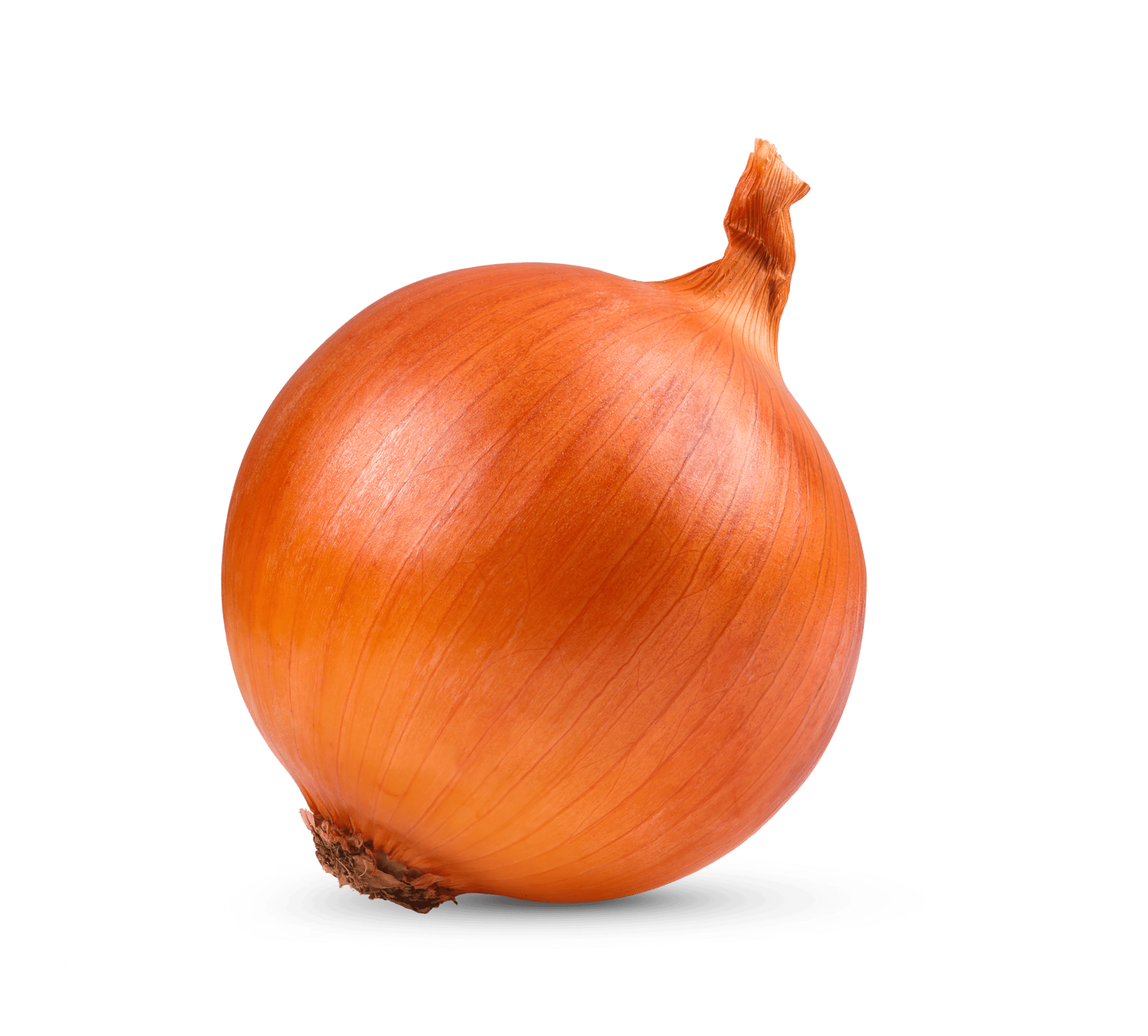 Natural foods, Yellow onion, Food, Plant, Ingredient, Vegetable