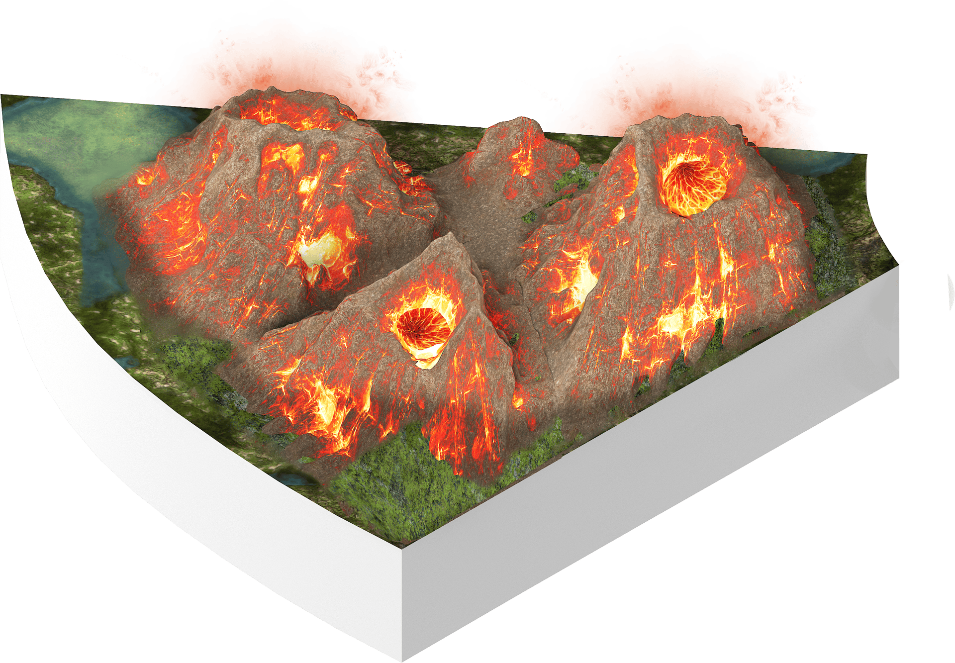 Leaf, Rectangle, Petal