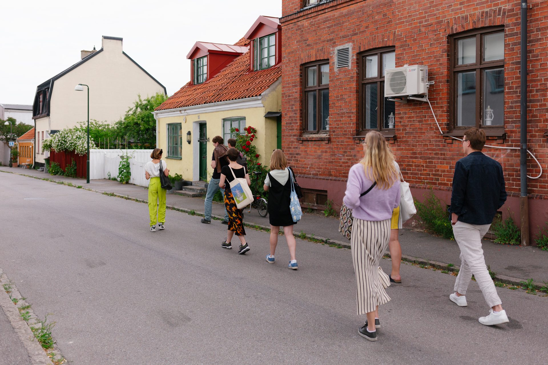 Road surface, Plant, Window, Building, Asphalt, House