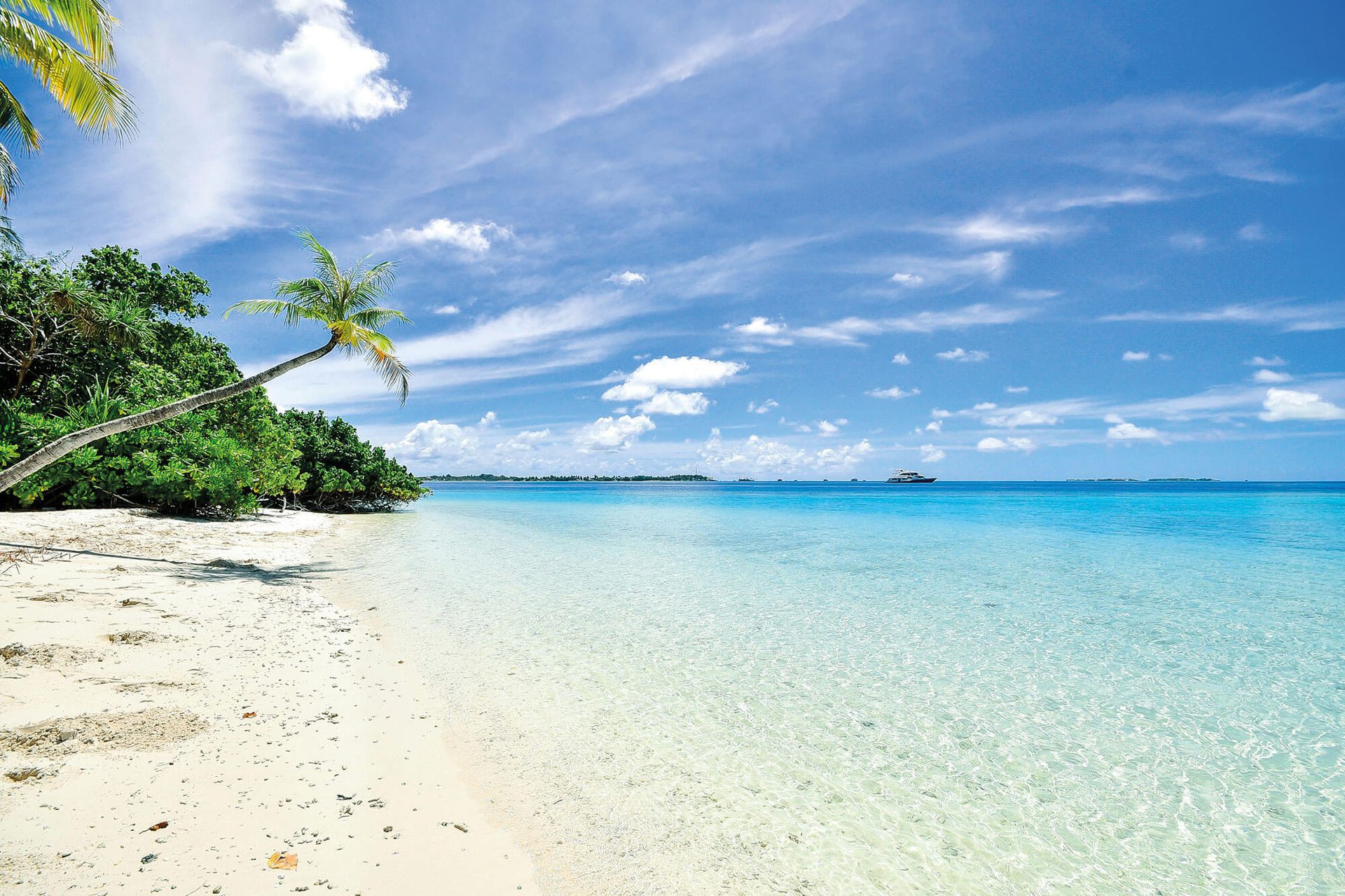 White sand beach, clear turquoise ocean, leaning palm tree, and a distant boat under a blue sky.