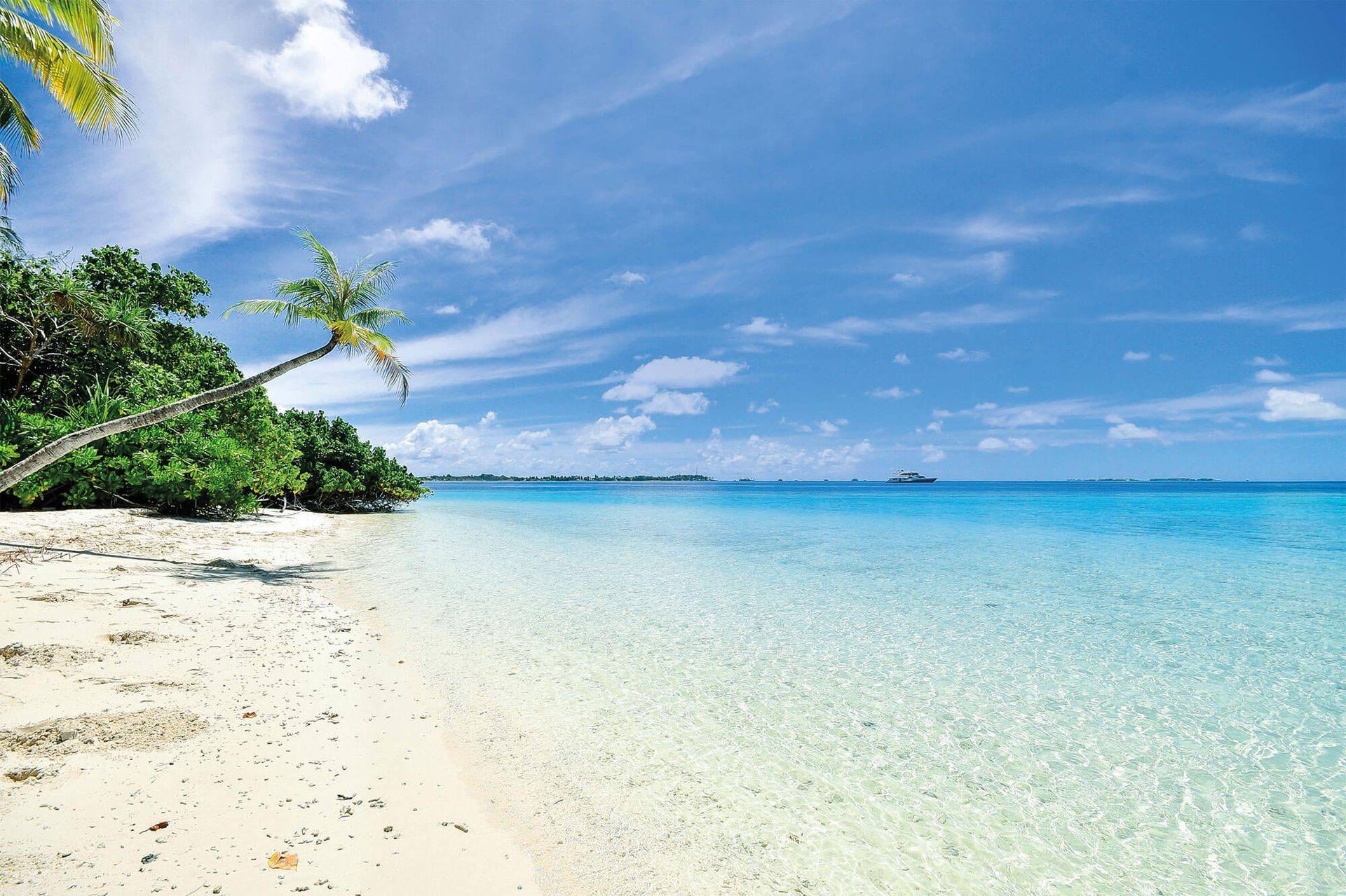 White sand beach, leaning palm tree, crystal clear turquoise water, distant boat under blue sky.