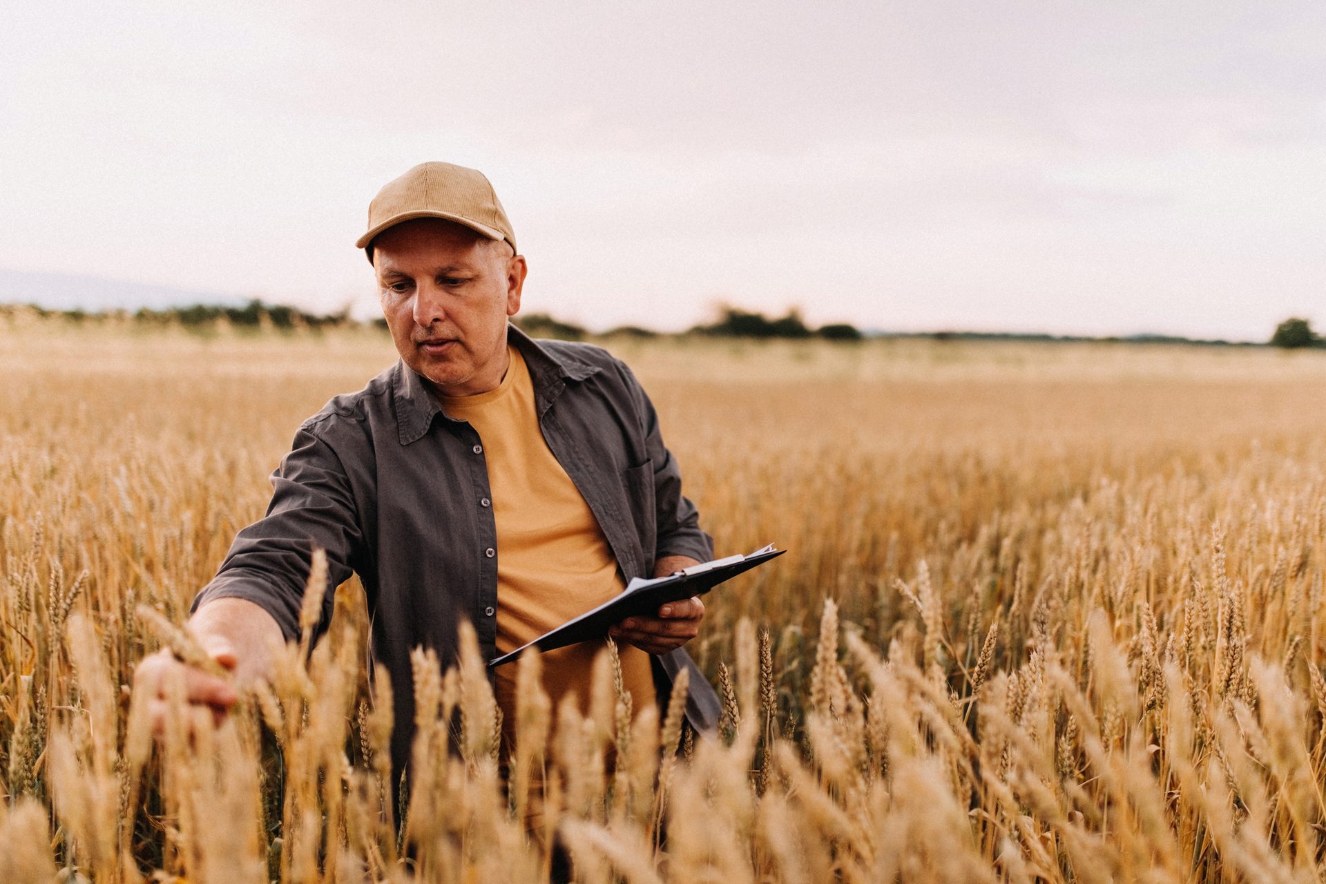 People in nature, Plant, Sky, Happy, Sunglasses, Grass, Agriculture