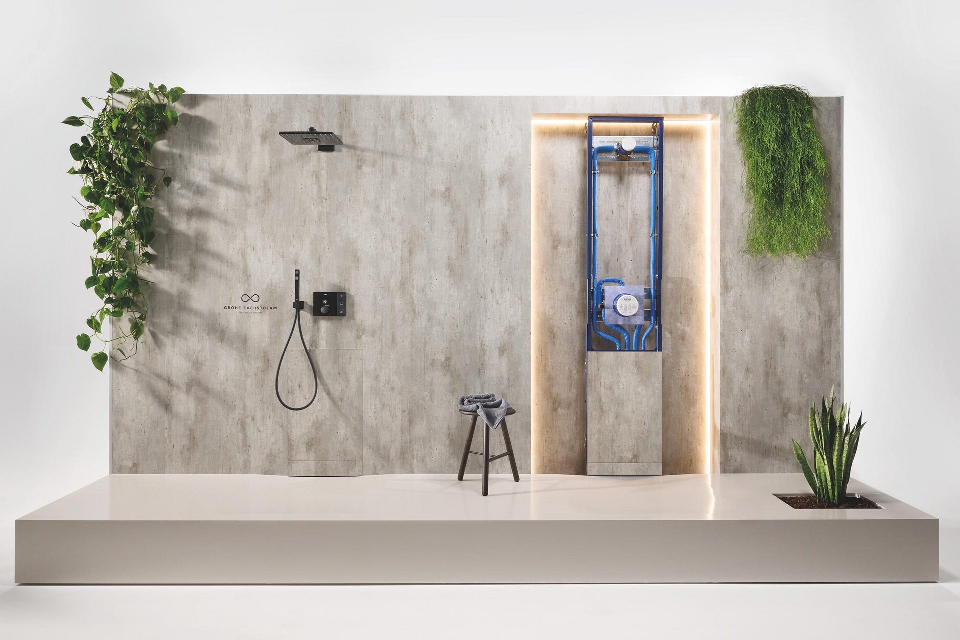 Interior design, Plant, Door, Wood, Rectangle, Houseplant, Flowerpot, Floor, Flooring, Wall