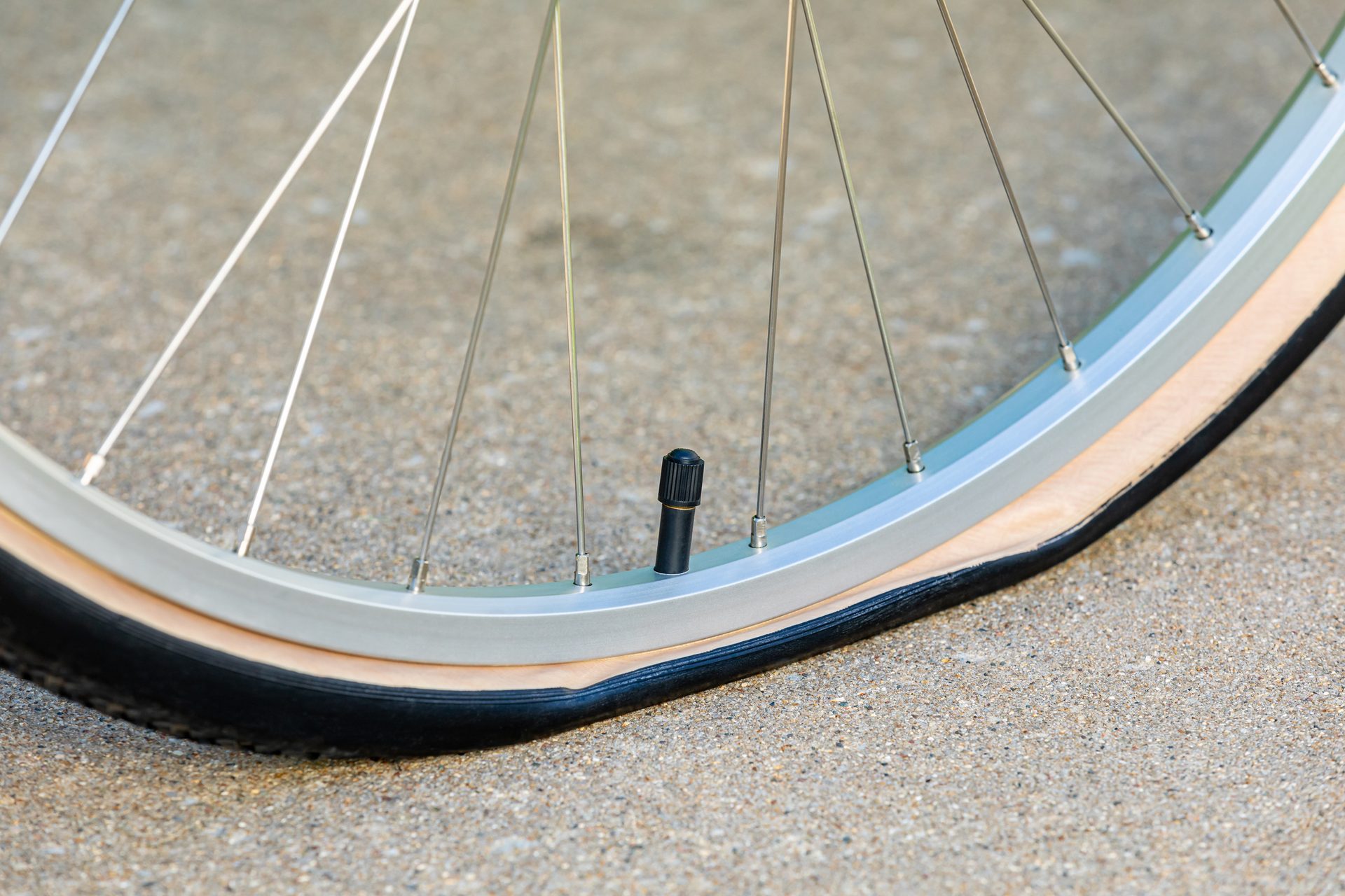 A close-up of a bicycle wheel with a flat tire resting on pavement.
