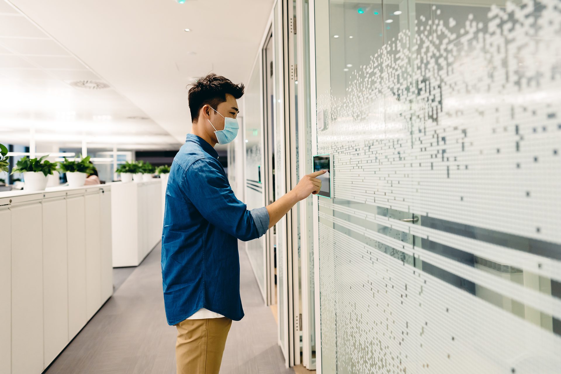 Dress shirt, Product, Sleeve, Standing, Lighting, Collar, Plant