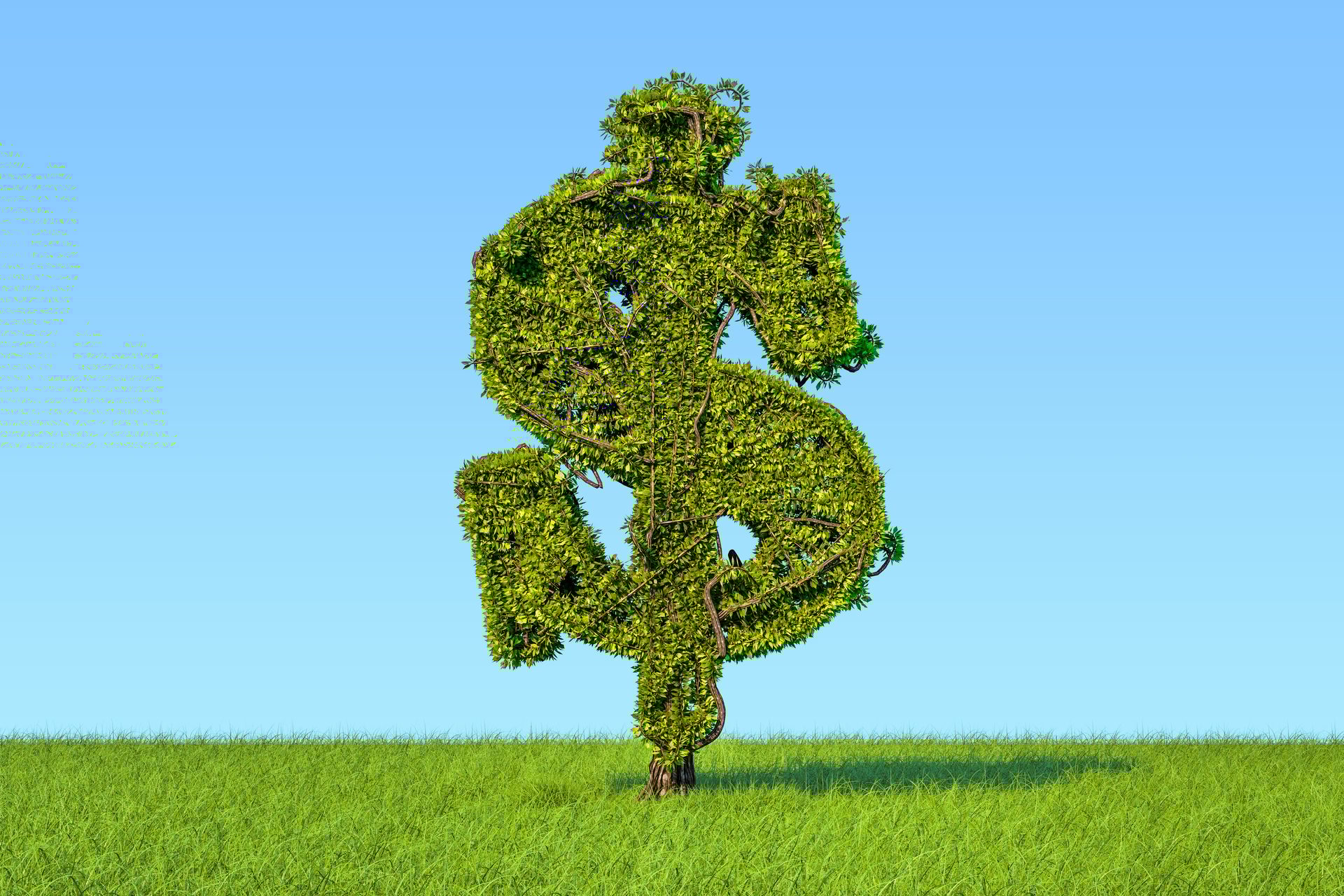 Dollar sign shaped tree on green grass with blue sky.