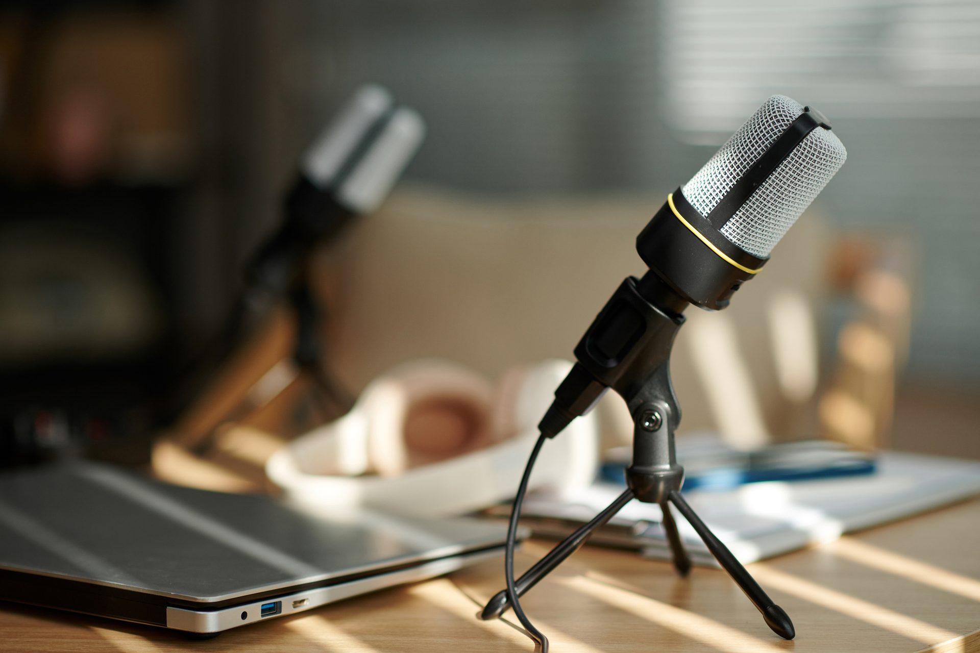 Personal computer, Output device, Audio equipment, Microphone, Laptop, Netbook, Peripheral, Table, Gadget