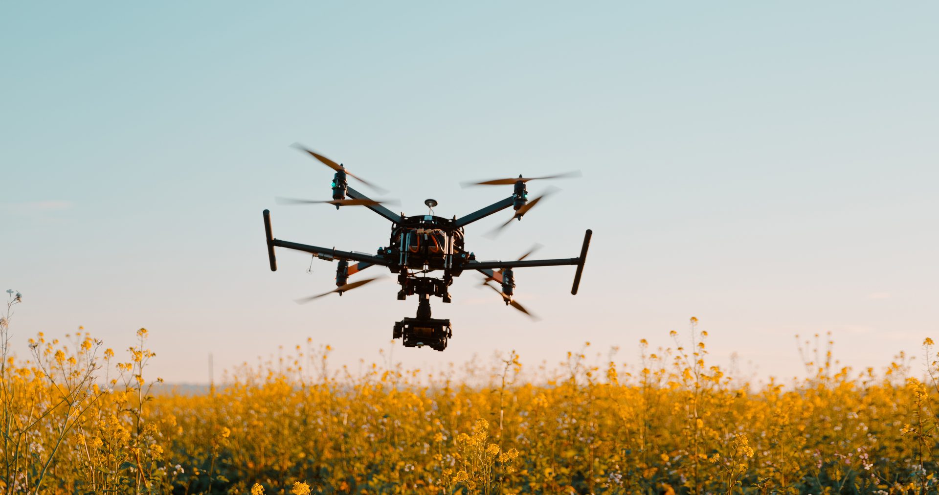 Aerospace manufacturer, Natural landscape, Sky, Plant, Flower, Aircraft, Vehicle