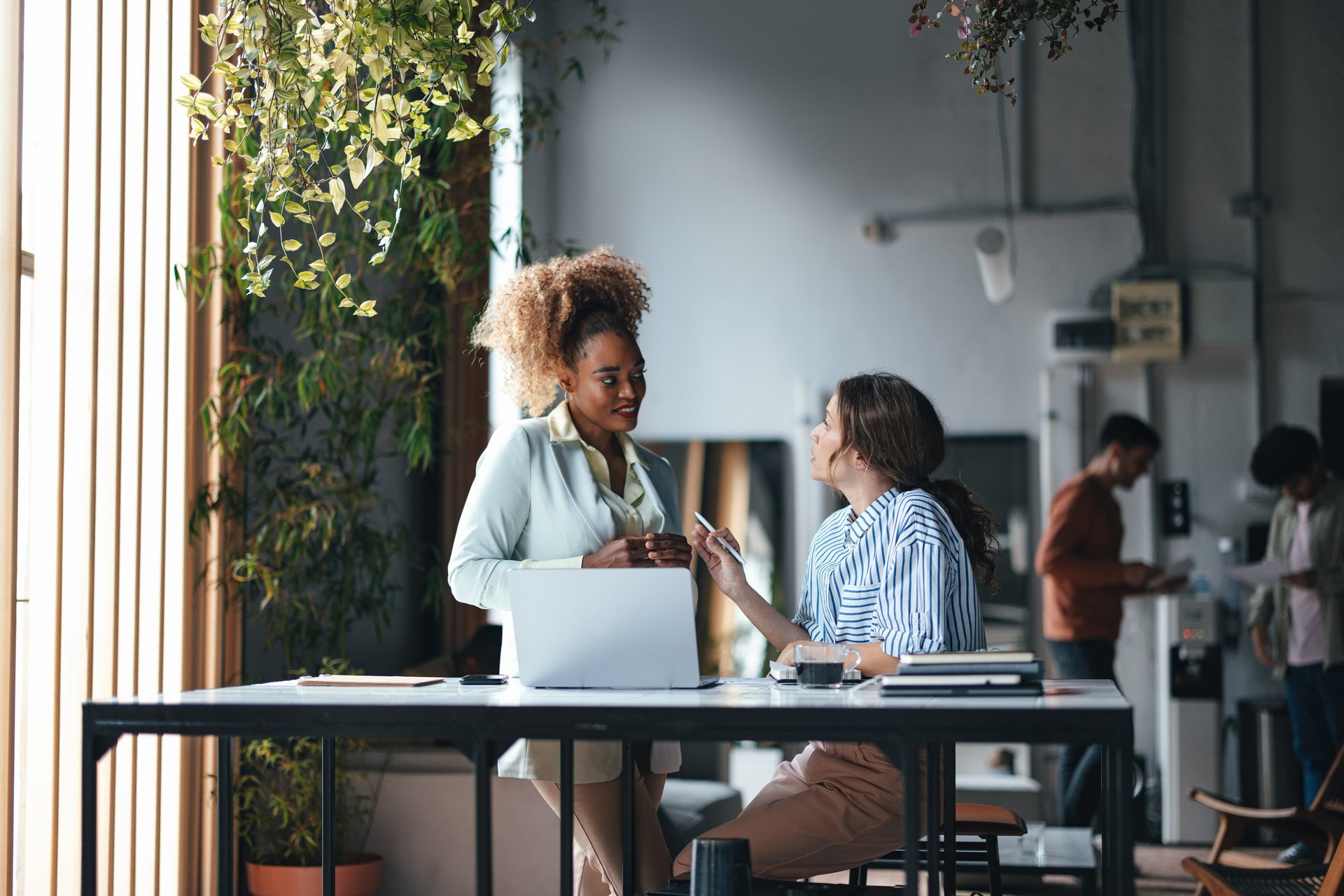 Table, Furniture, Plant