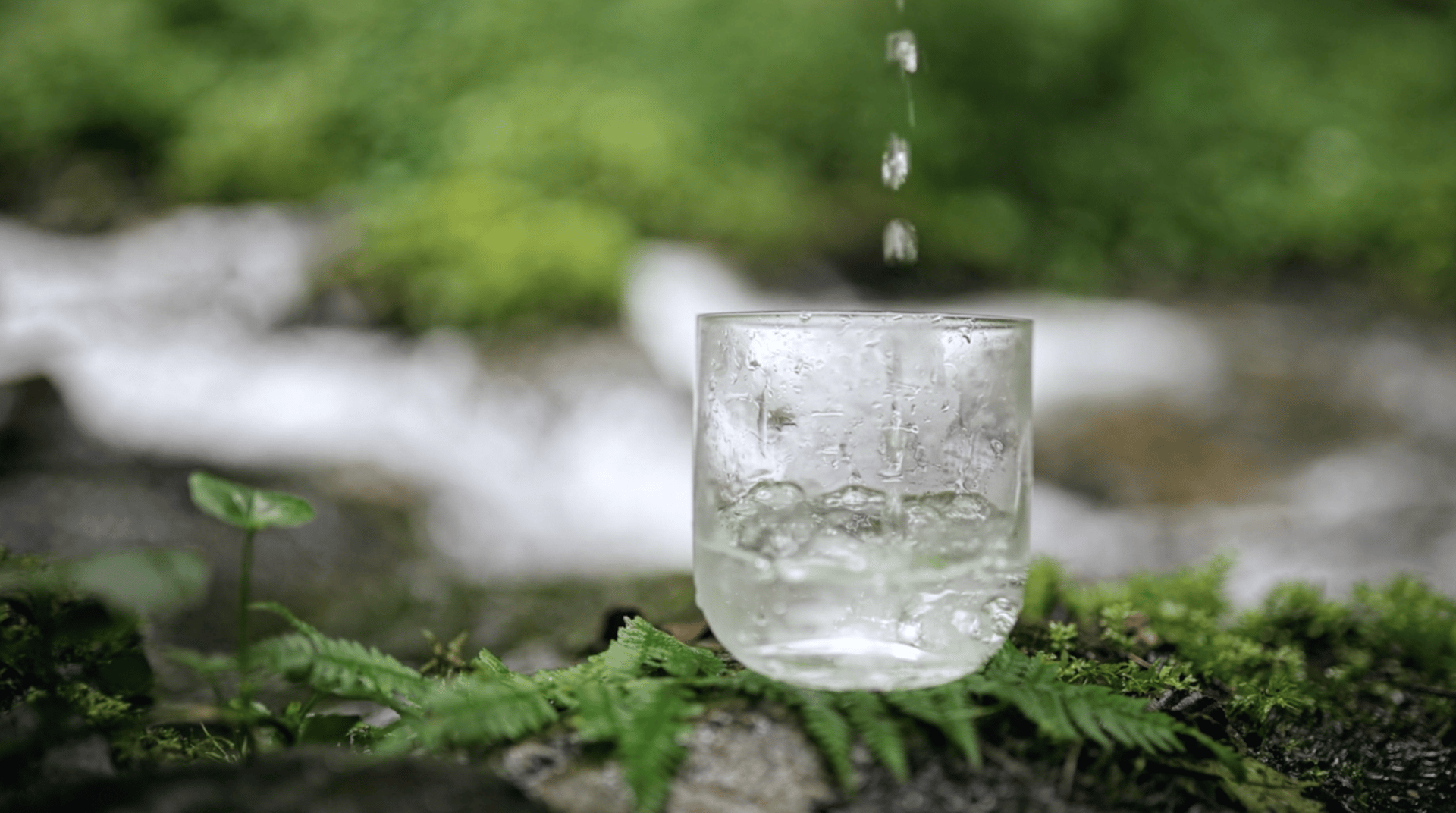 Water pours into a glass on moss, with a blurred green background and stream.