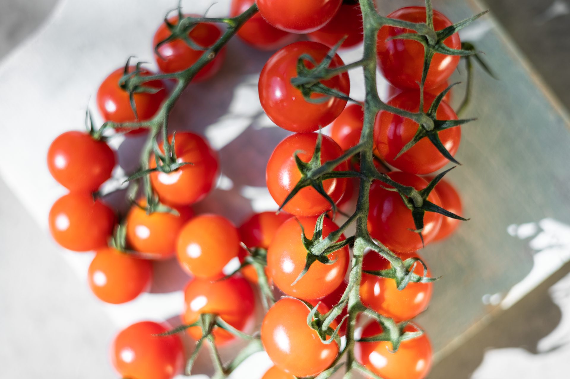 Plum tomato, Natural foods, Cherry Tomatoes, Staple food, Plant, Fruit, Ingredient