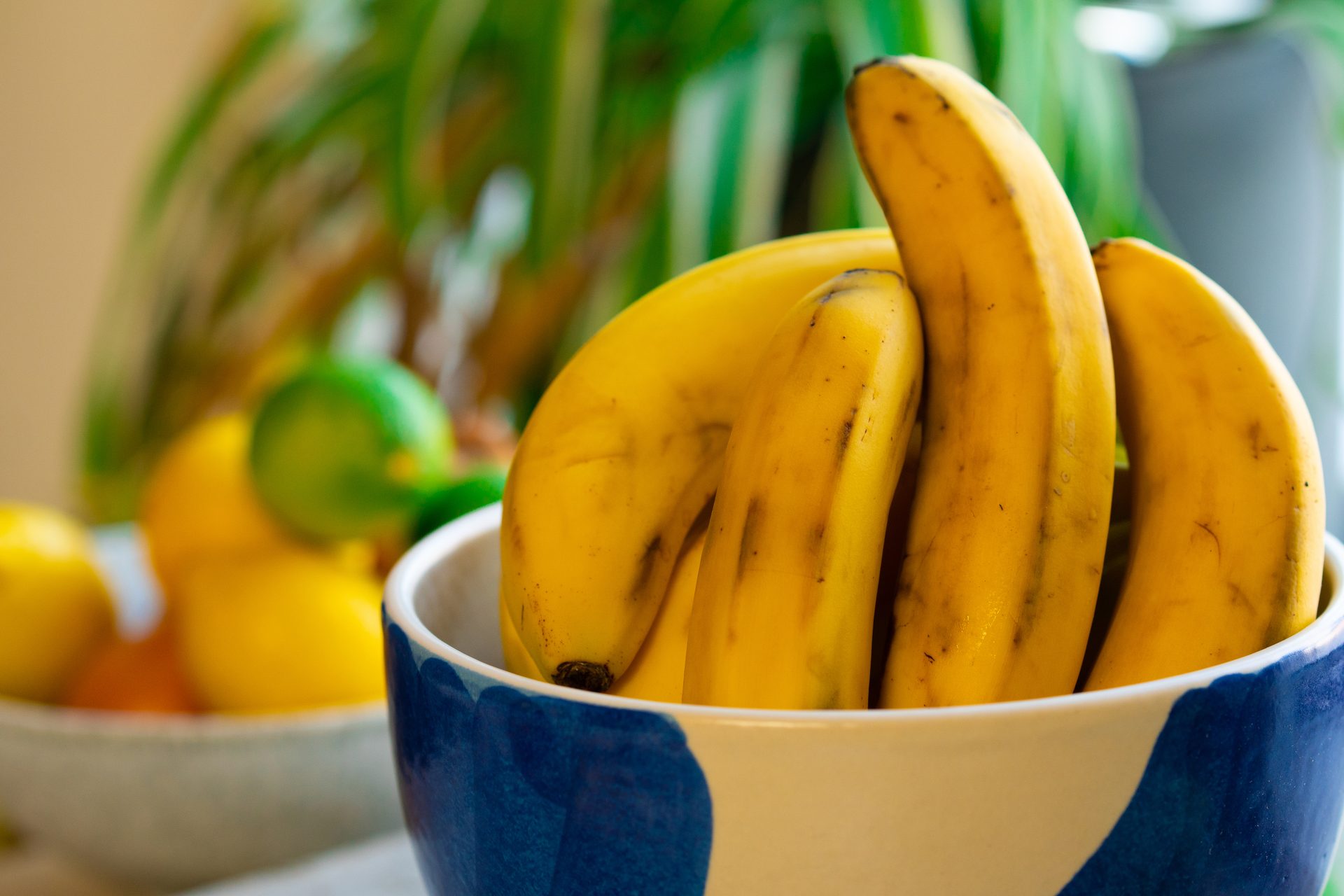 Saba banana, Cooking plantain, Natural foods, Food, Tableware, Ingredient, Serveware