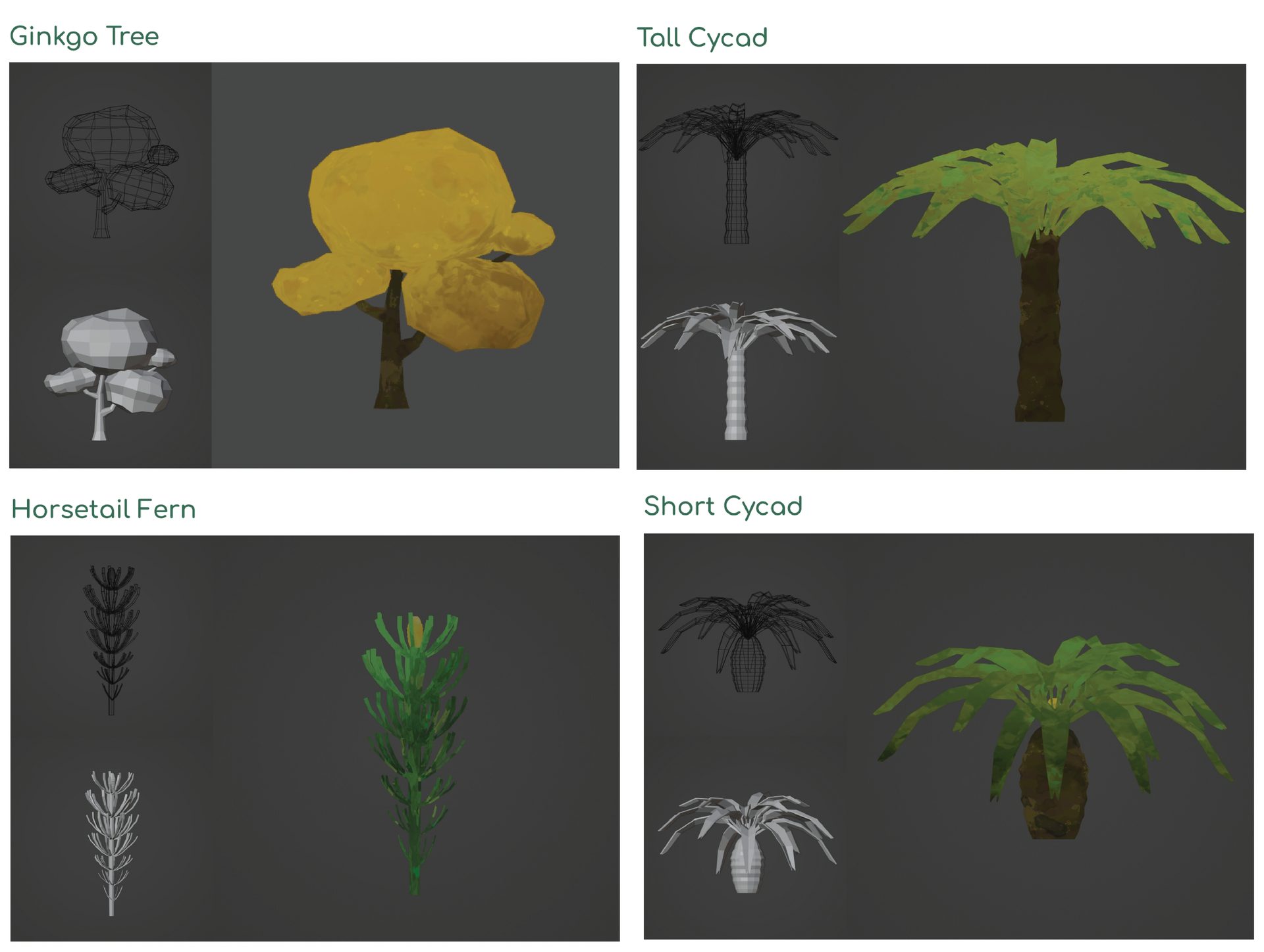 Terrestrial plant, Leaf, Botany, Organism, Vegetation, Tree