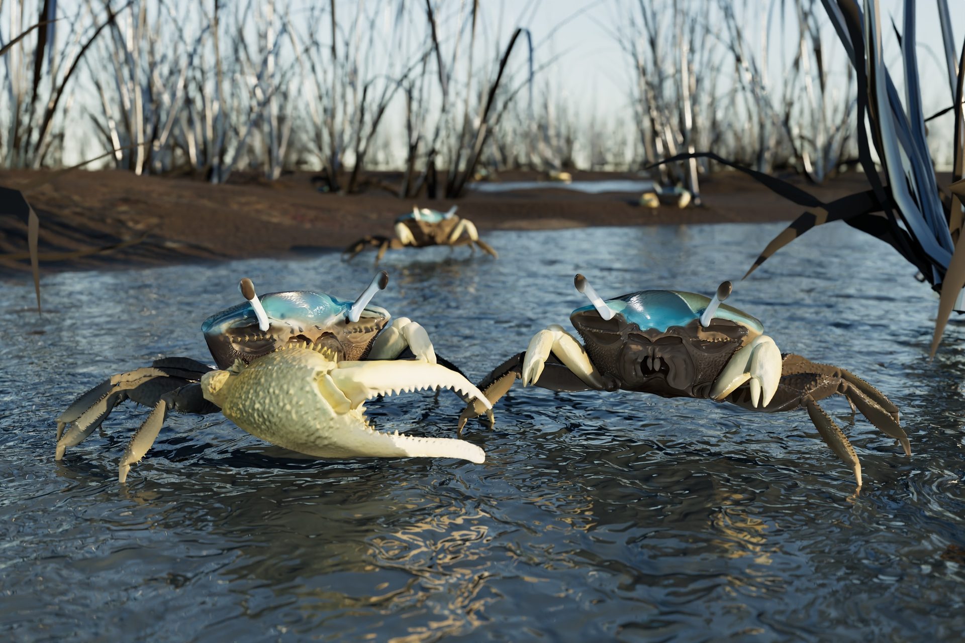 Water, Sky, Plant, Lake, Wood, Crab