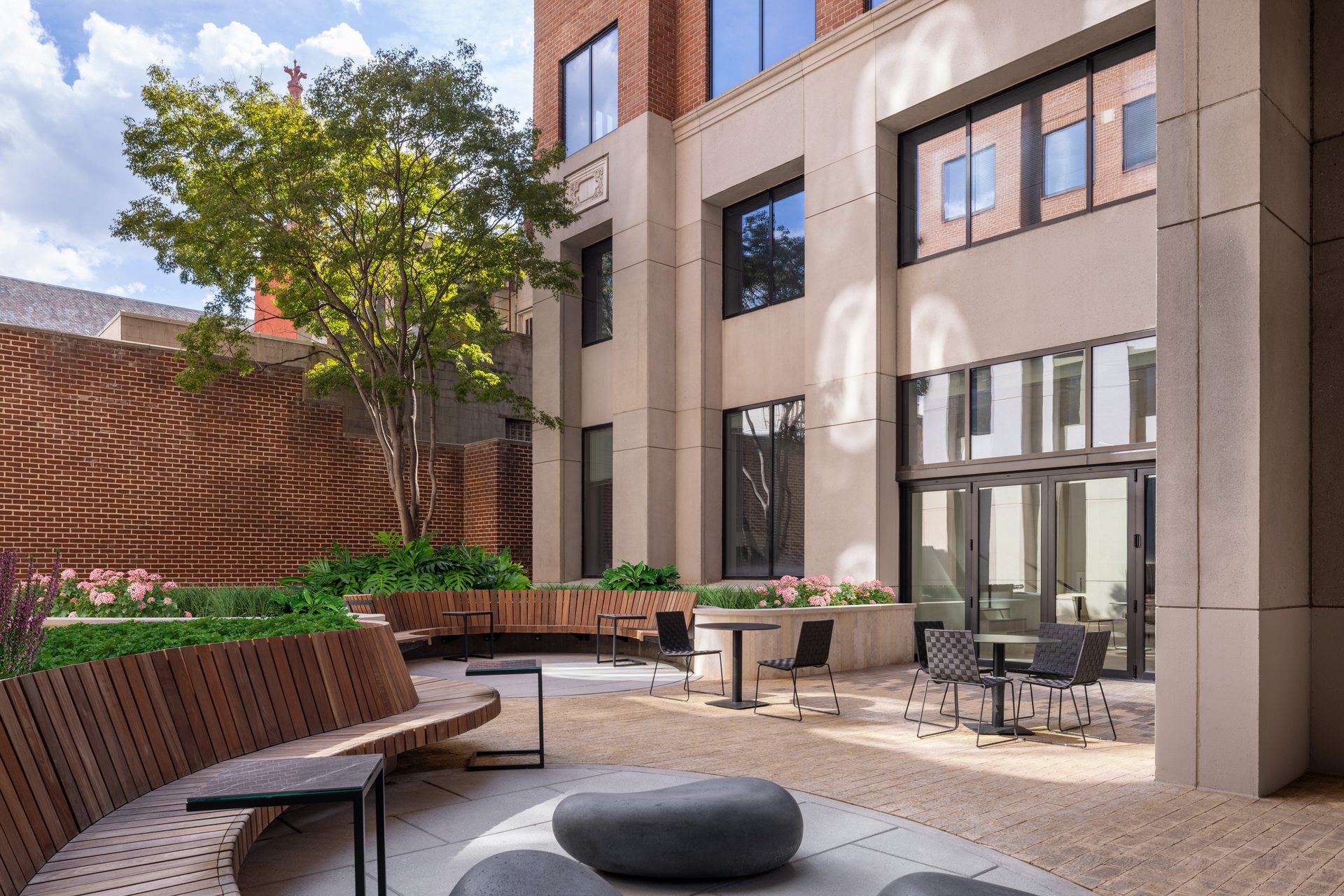 An outdoor courtyard with wooden benches, a leafy tree, and a modern building with large windows.