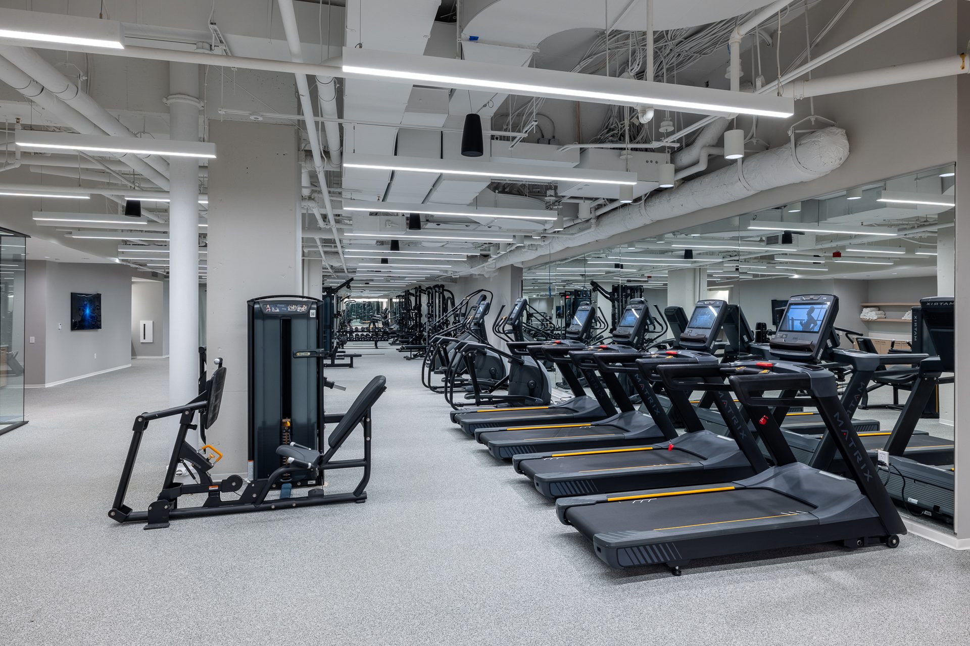 Modern gym interior with treadmills, weight machines, and bright overhead lighting.