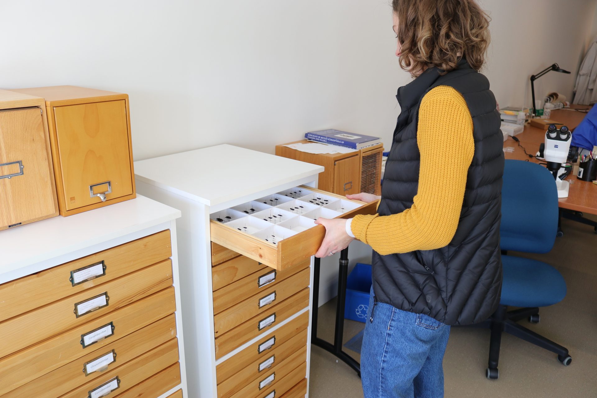 Chest of drawers, Furniture, Cabinetry, Drawer, Wood, Dresser