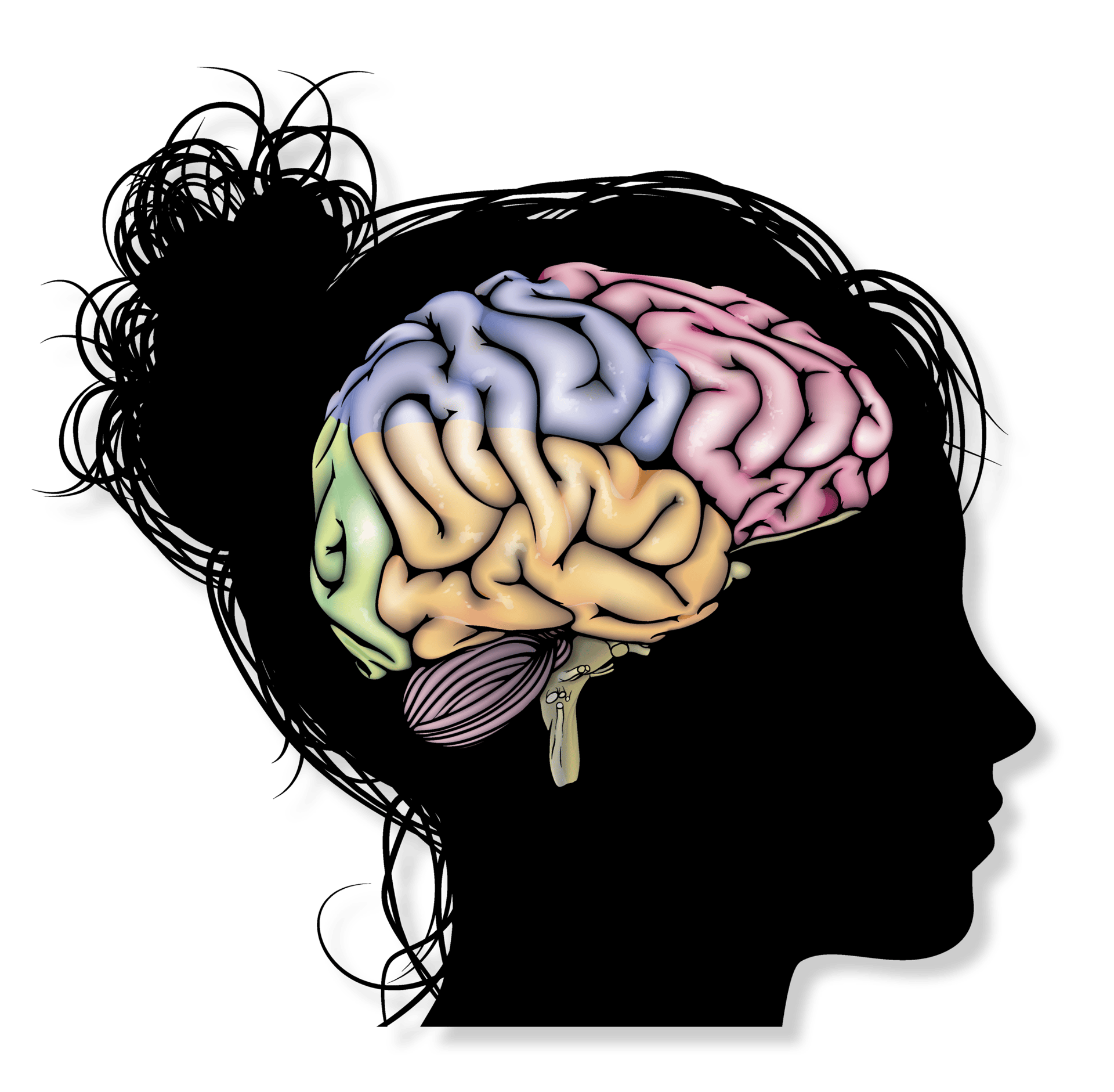 Hair, Head, Chin, Hairstyle, Jaw, Neck, Brain, Gesture, Headgear, Font