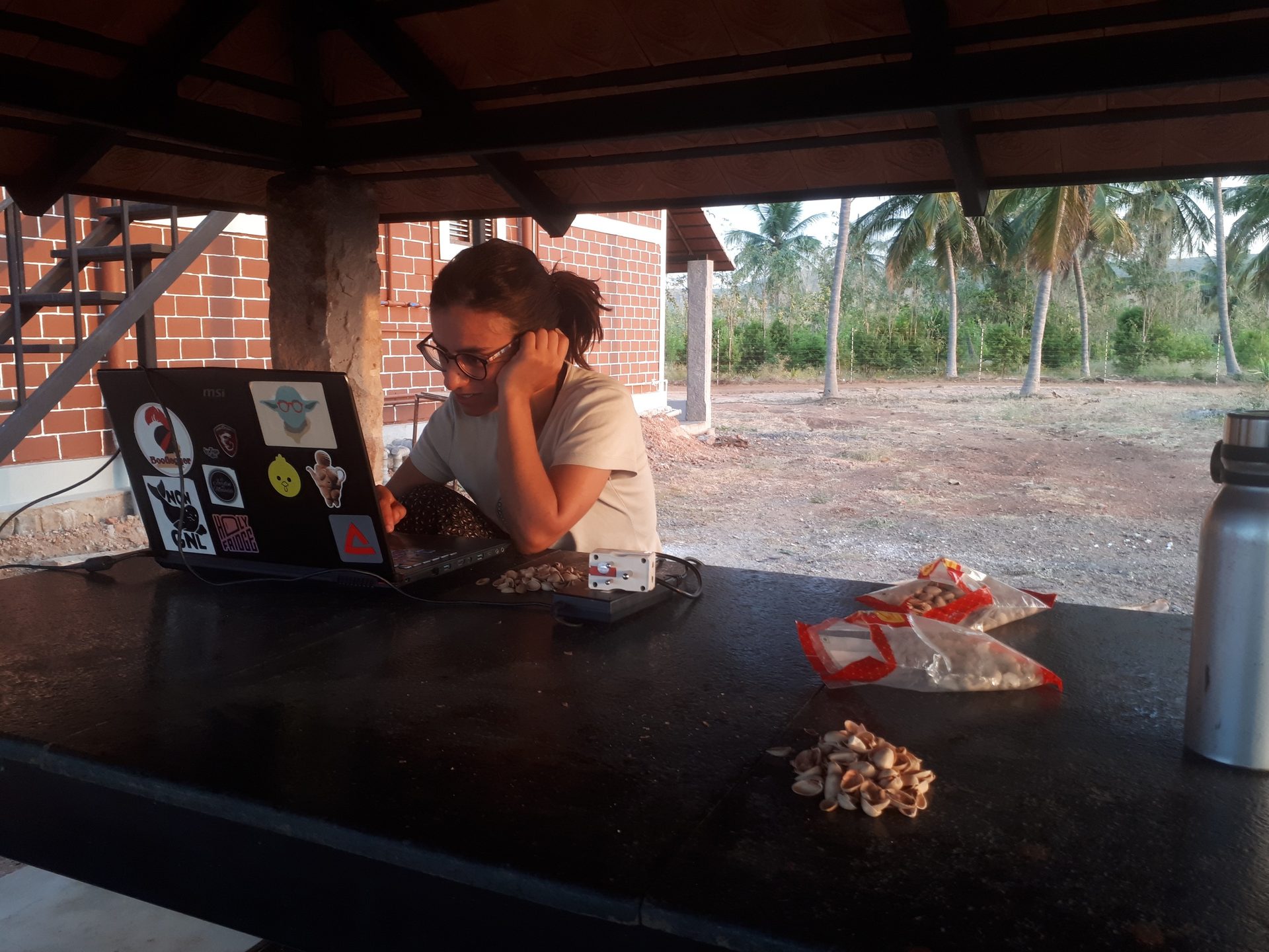 Personal computer, Kitchen appliance, Table, Plant, Laptop, Wood, Tree, Shade, Netbook