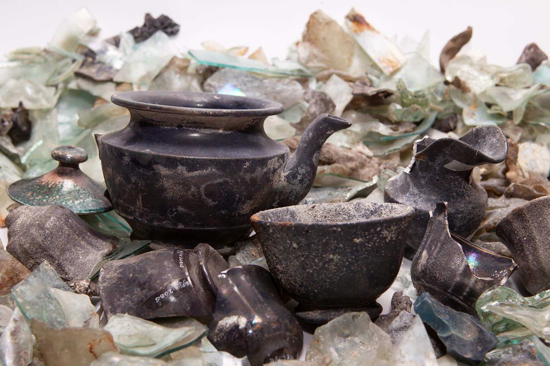 Dishware, Tableware, Serveware