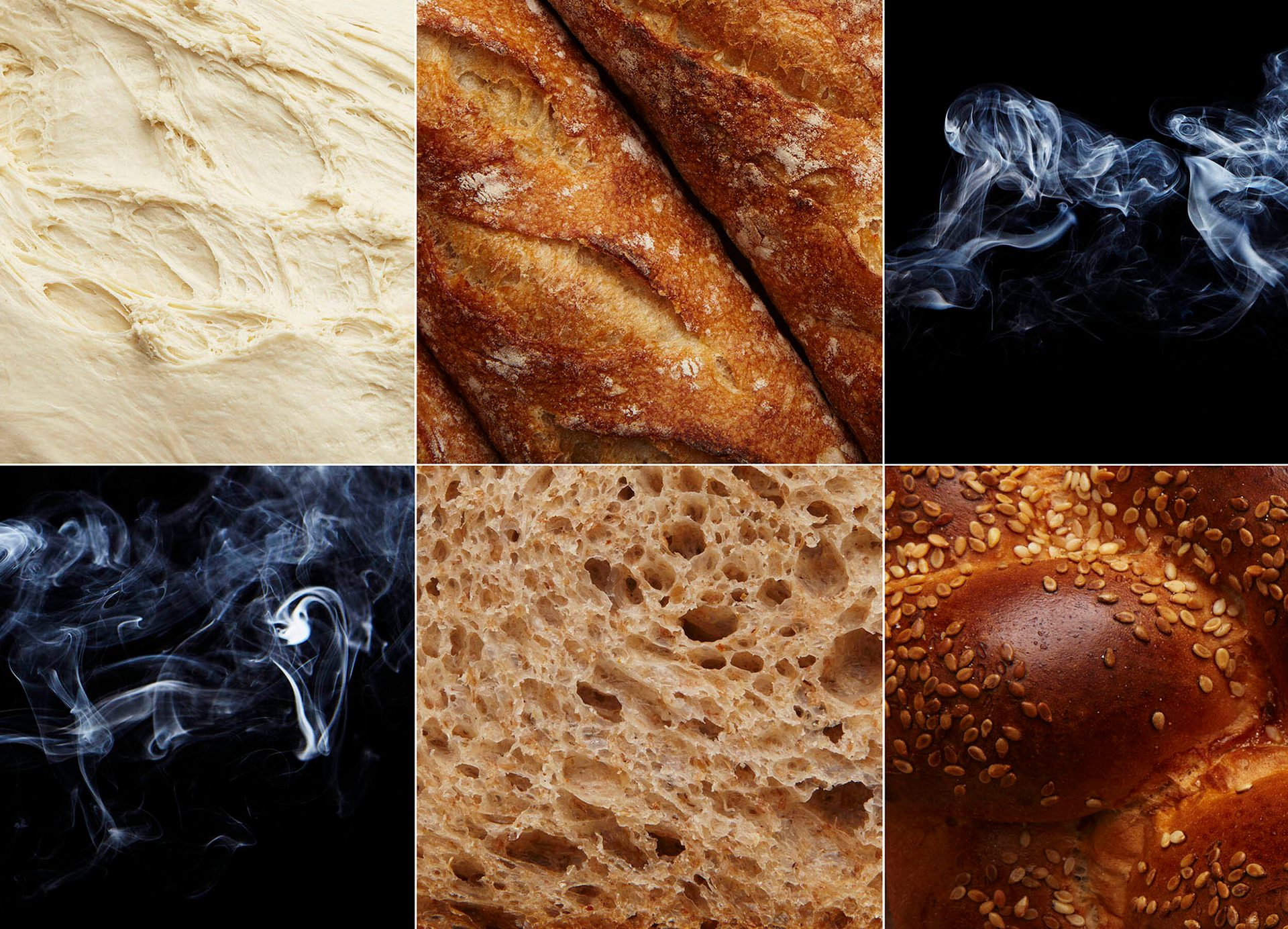 Natural landscape, Nature, Organism, Wood, Gold, Ingredient, Font