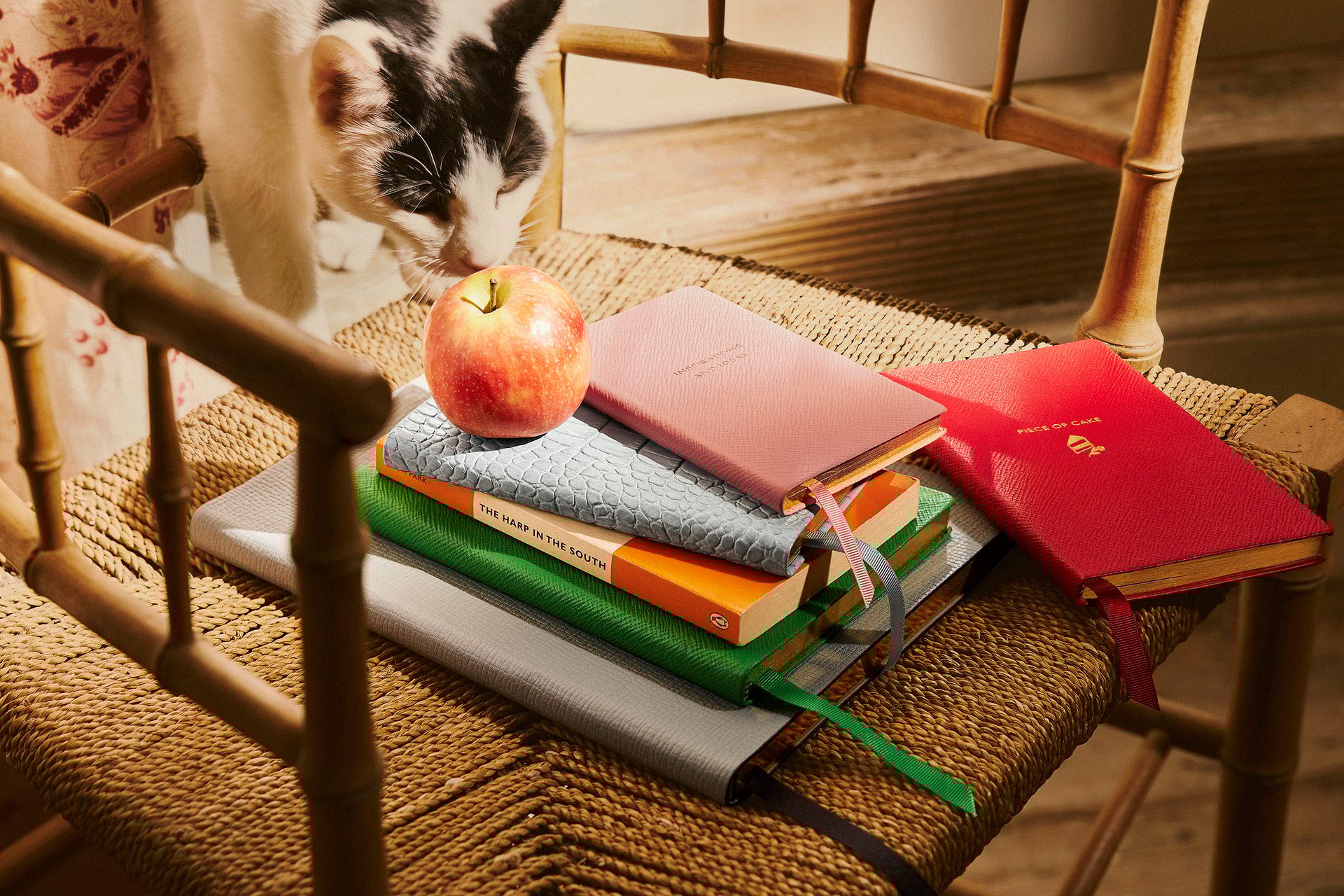 Cat, Wood, Carnivore, Comfort, Felidae