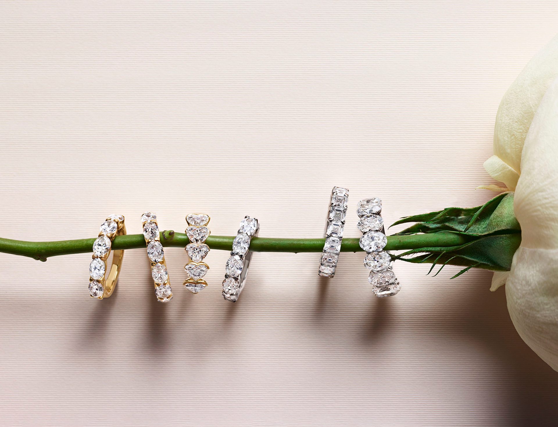 Product, Wood, Tableware, Twig, Table