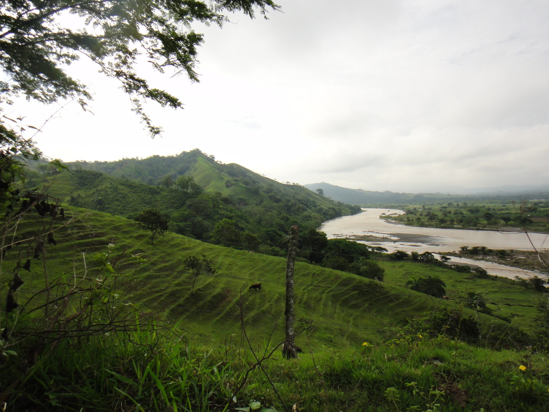 Global Organics Sourcing Jpg