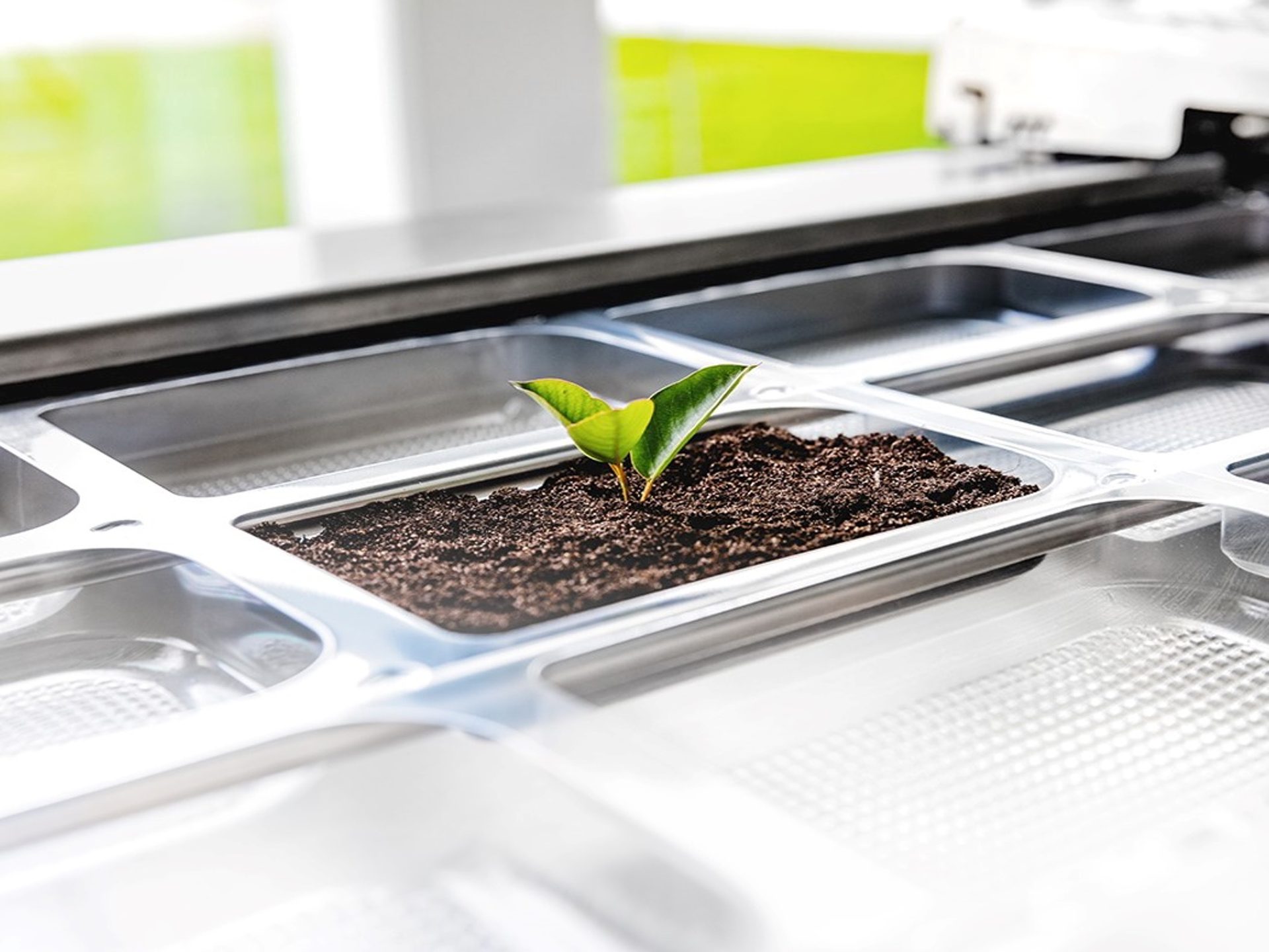 Multivac 5 Sustainable Packaging