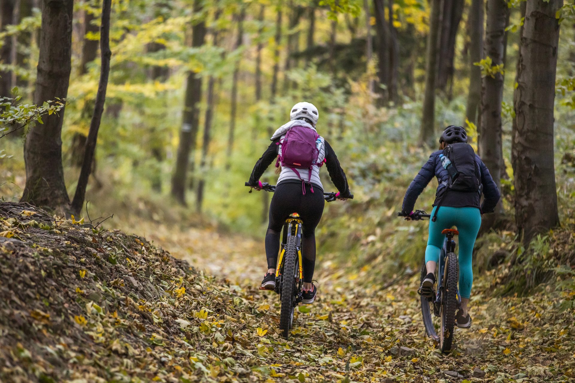 Two people mountain biking through an autumn forest trail covered in fallen leaves.