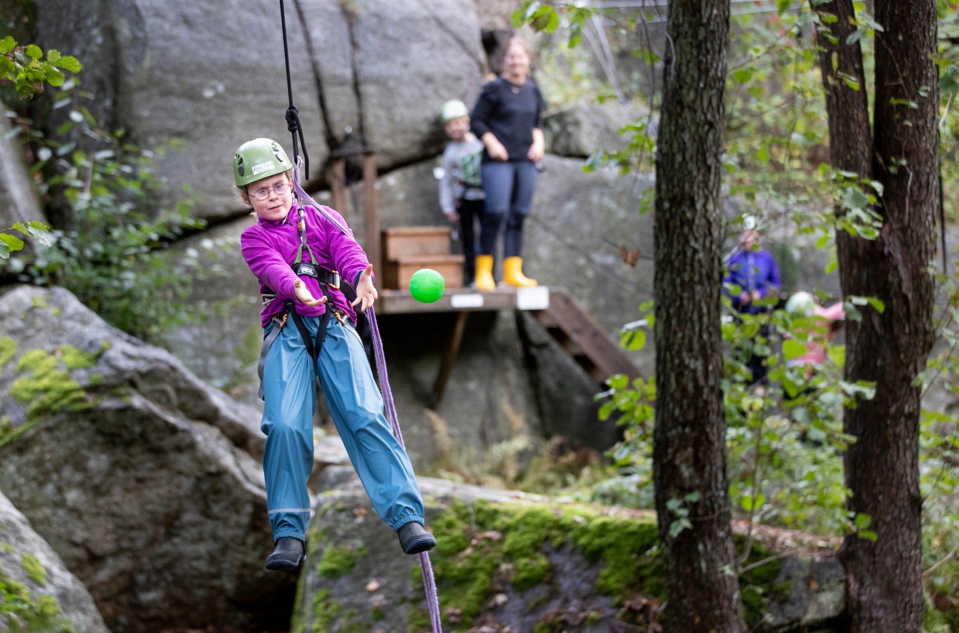 Outdoor recreation, Rock-climbing equipment, Plant, Tree, Bedrock, Wood, Climbing, Leisure