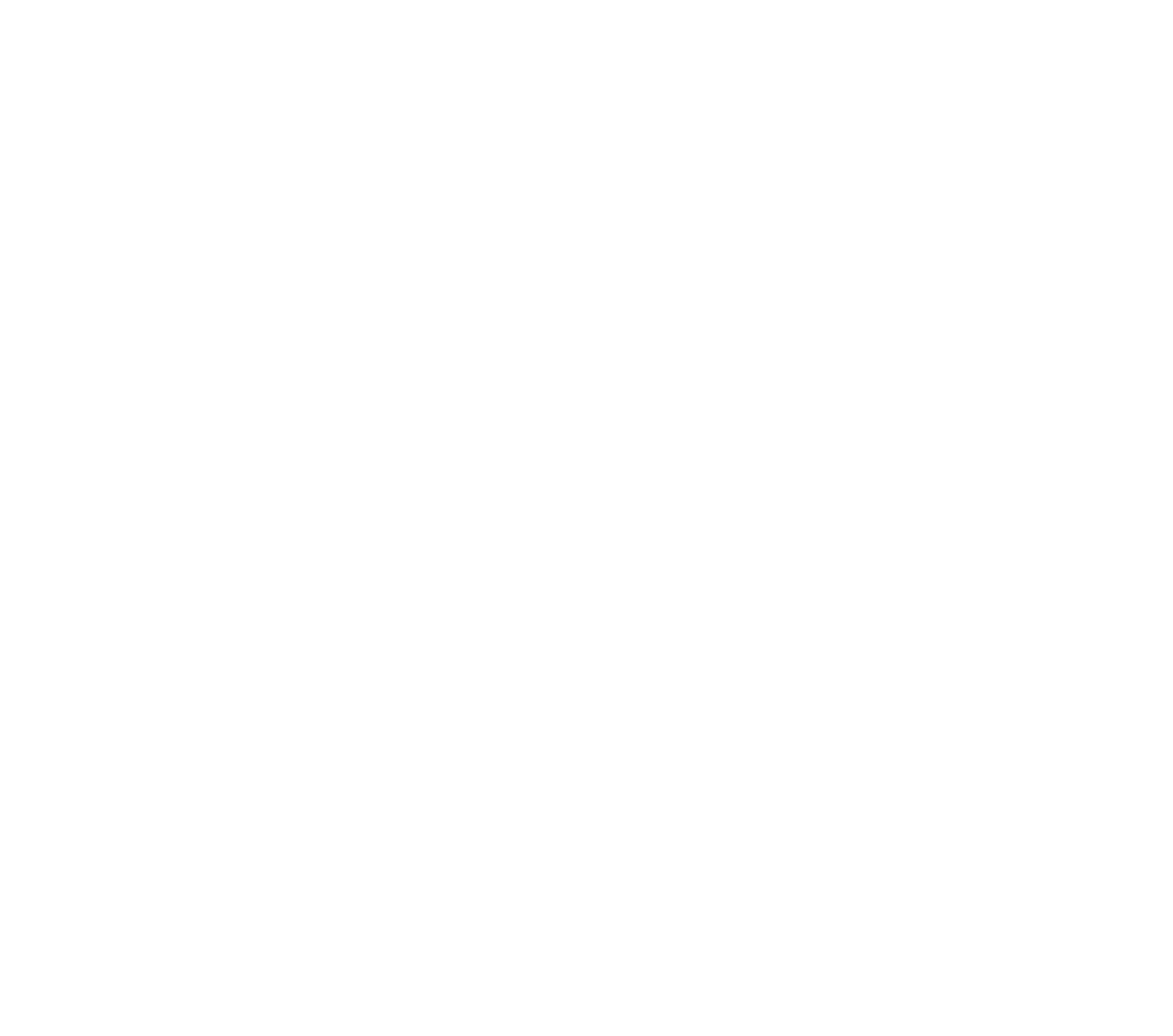 White NAPA logo on a dark green background, featuring the word "NAPA" within a hexagonal shape.
