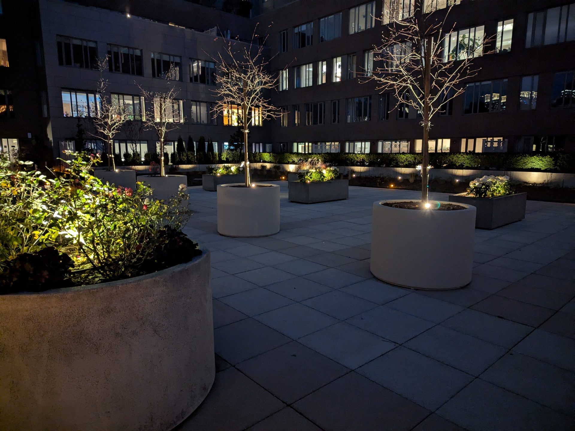 A dark courtyard at night, featuring several illuminated planters with trees and bushes, and buildings in the background.