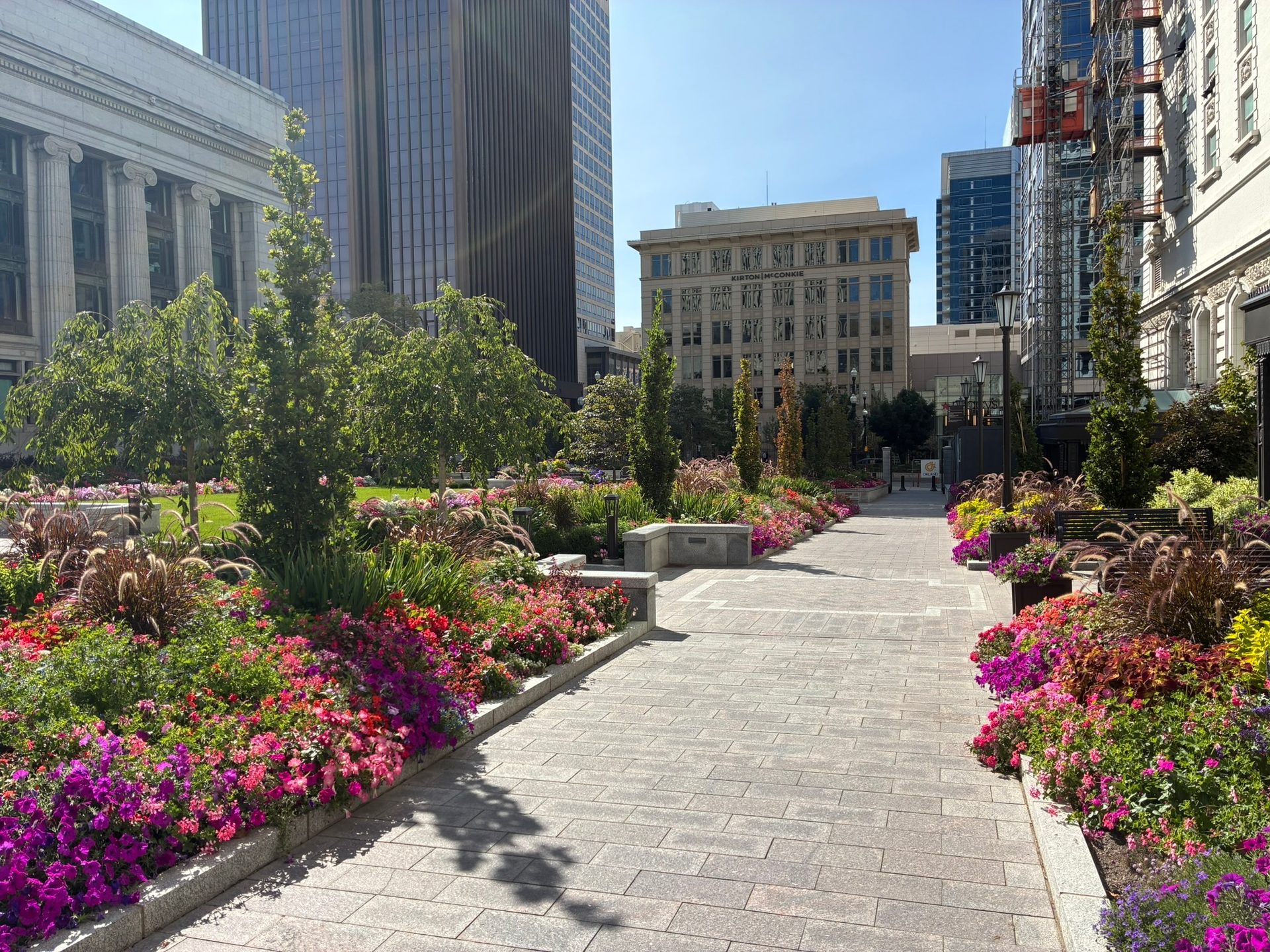 Urban pathway lined with vibrant flower beds and trees, leading past city buildings under a clear sky.