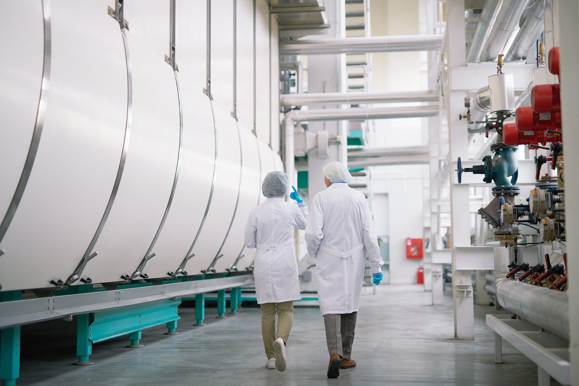Food processing plant