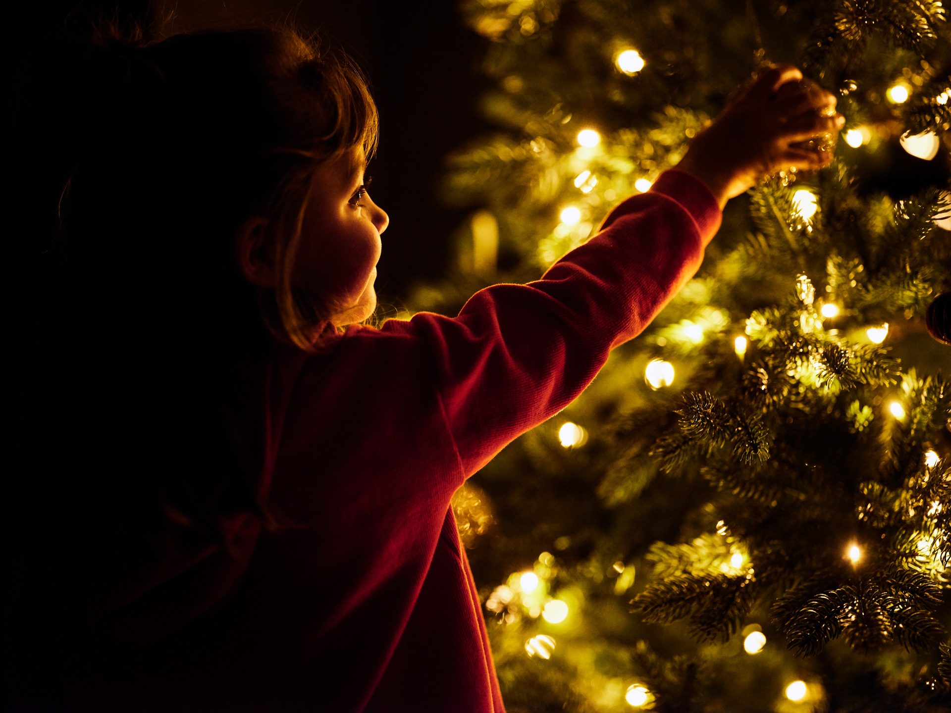 People in nature, Christmas tree, Flash photography, Hair, Plant, Happy, Gesture
