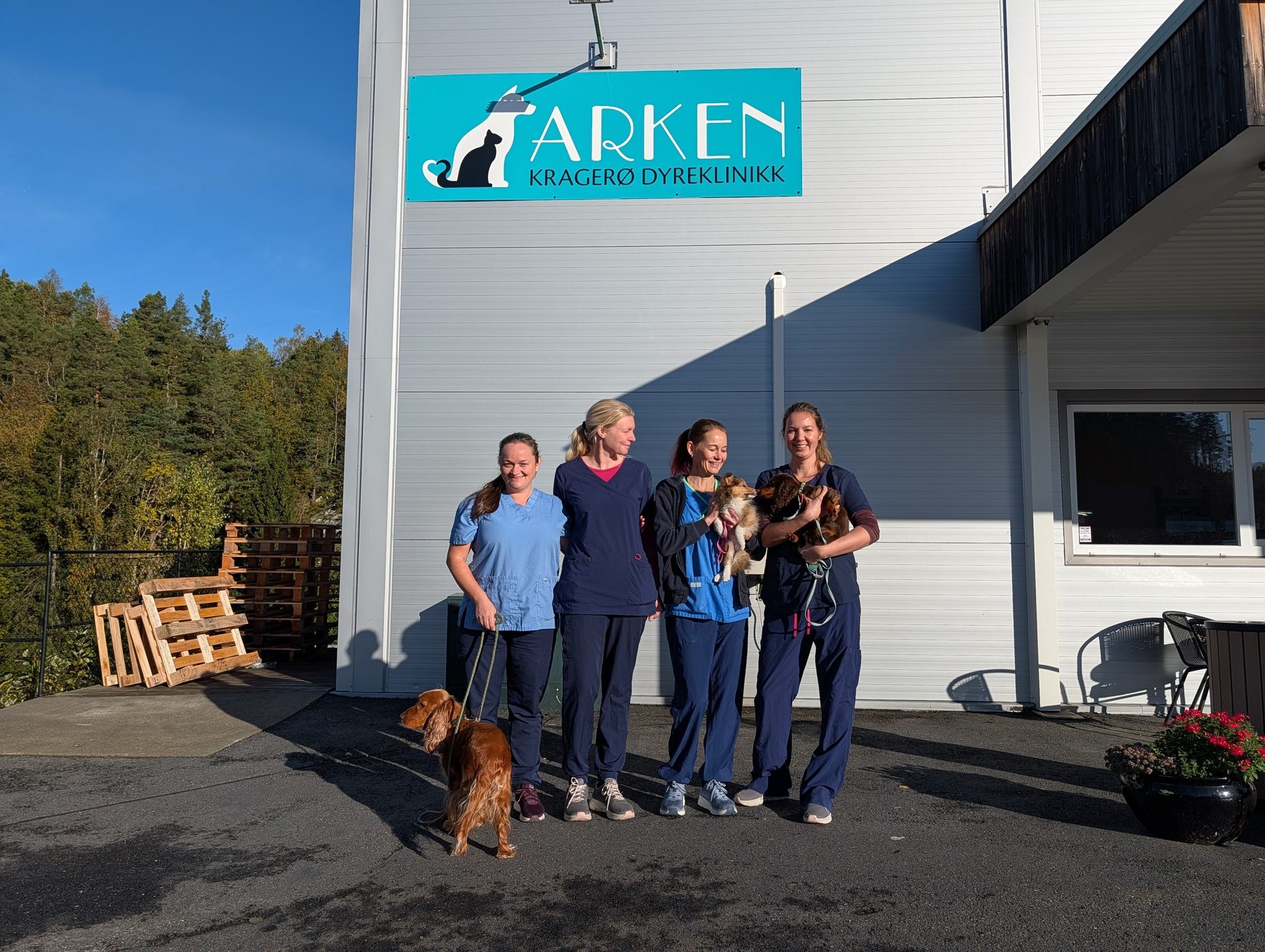 Four vet staff in scrubs with dogs and puppies outside "ARKEN KRAGERØ DYREKLINIKK".