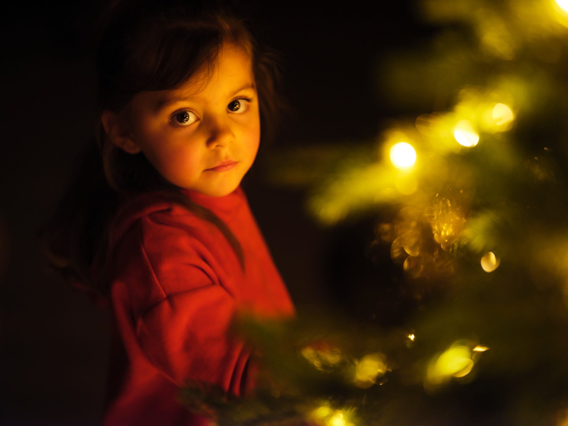 People in nature, Flash photography, Christmas tree, Hair, Eye, Plant, Happy, Sky