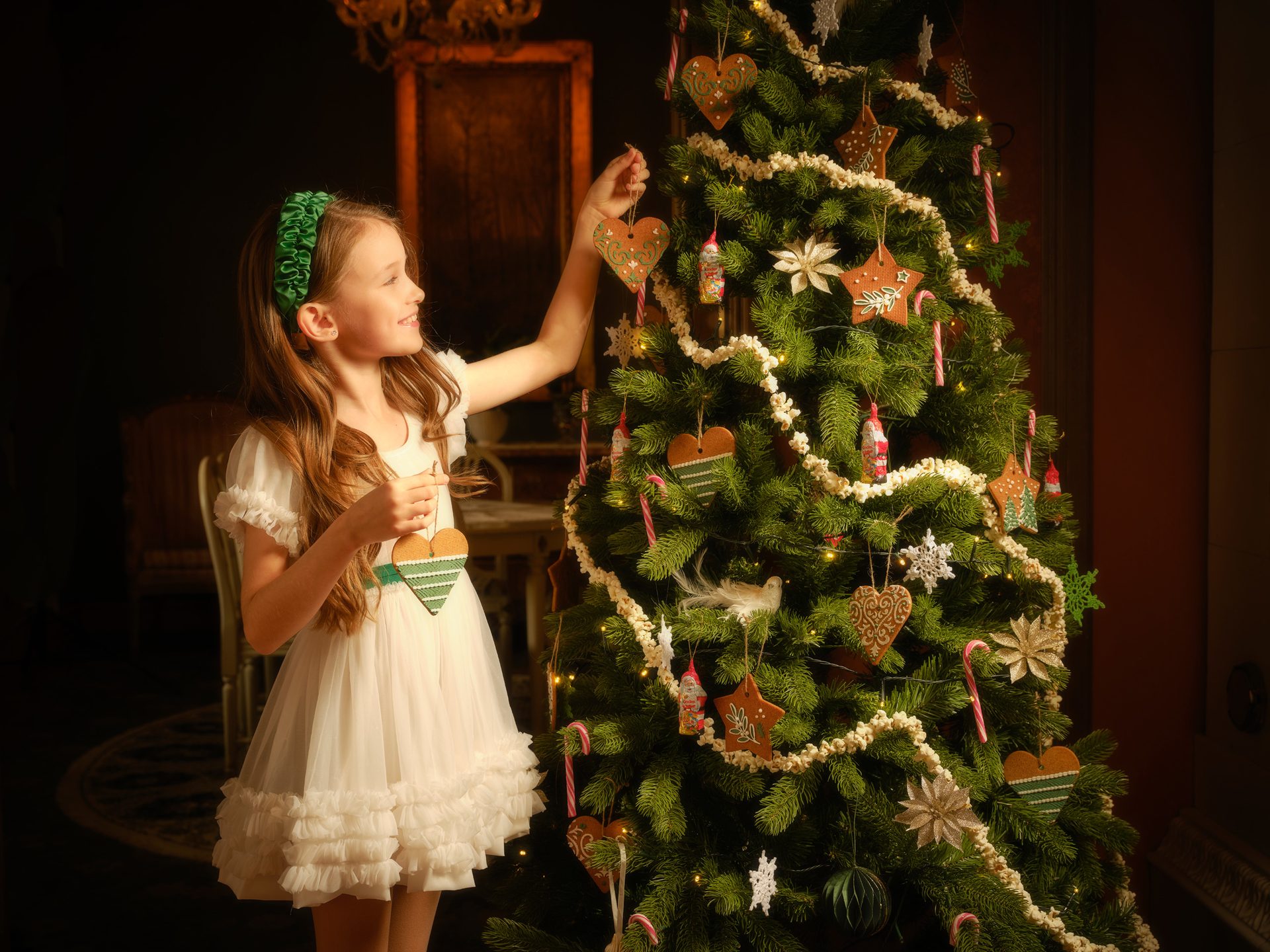 Christmas tree, Holiday ornament, Plant, Evergreen