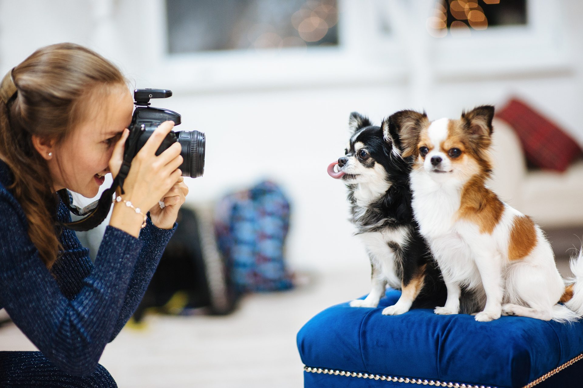 Dog breed, Camera lens, Carnivore, Photographer