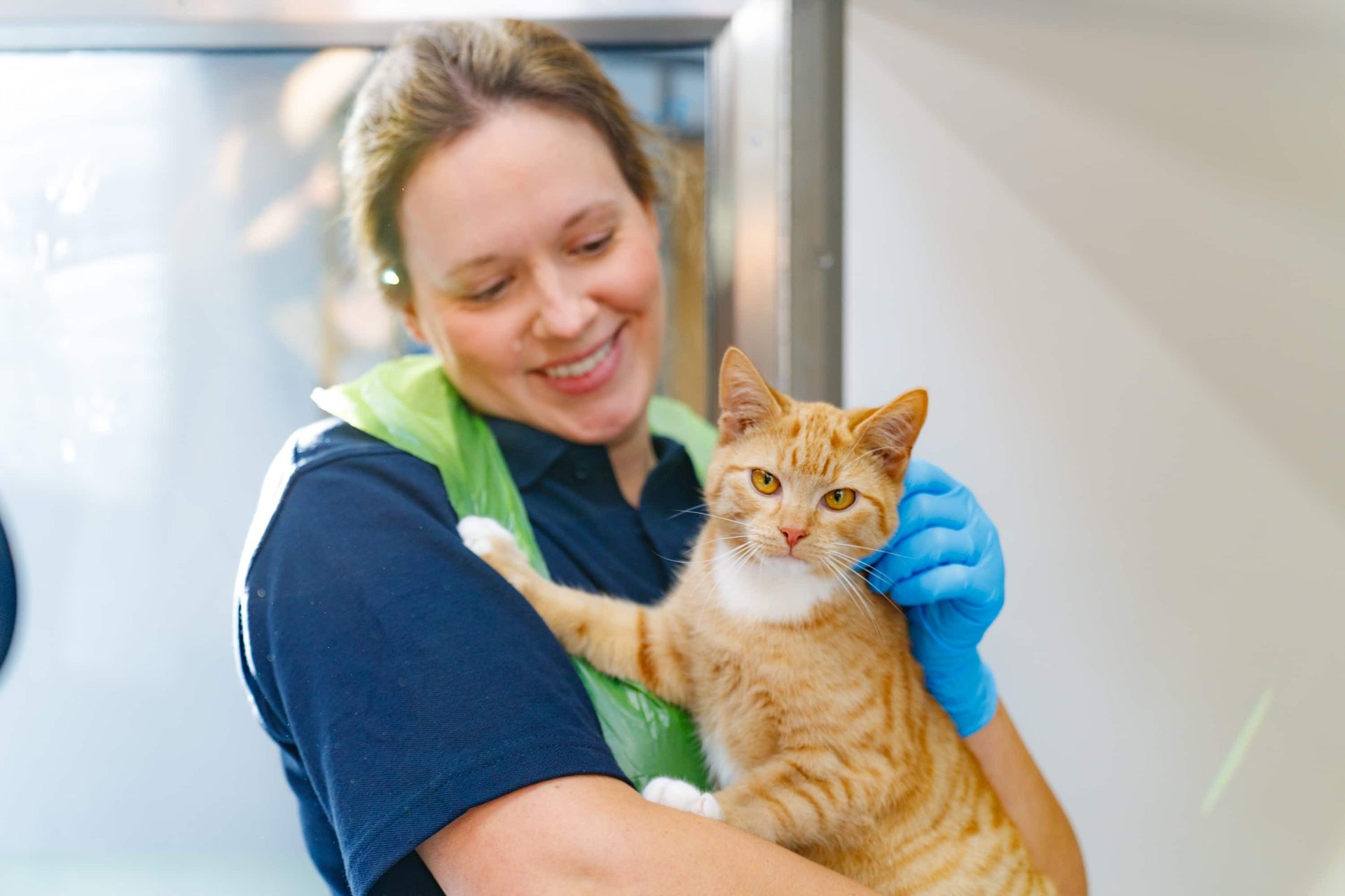 A smiling woman in blue gloves holds a contented orange tabby cat with amber eyes.