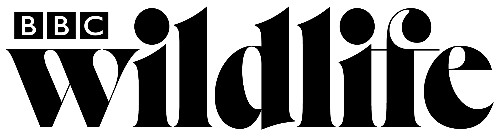 Font