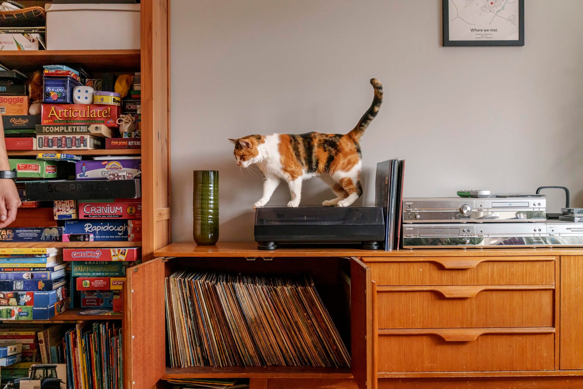 A calico cat walks across a record player, flanked by shelves of board games, a record collection, and stereo equipment.