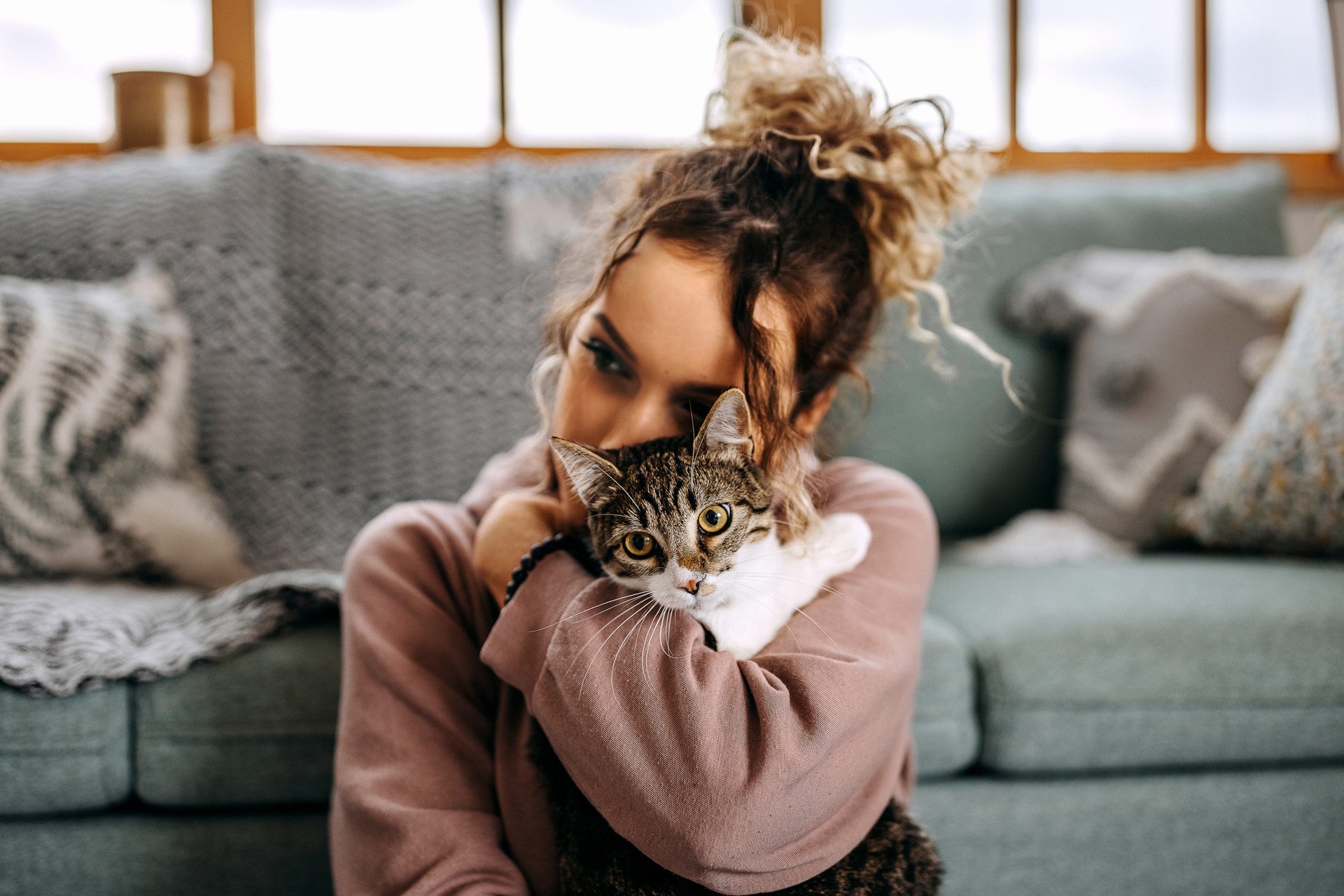 Human body, Cat, Comfort, Felidae, Carnivore, Grey, Fawn