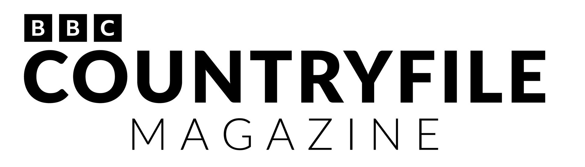 Font