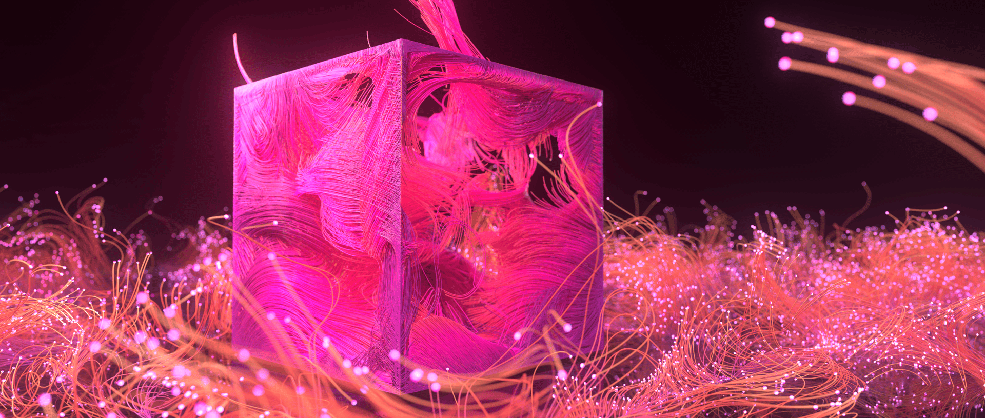 Christmas decoration, Light, Purple, Pink