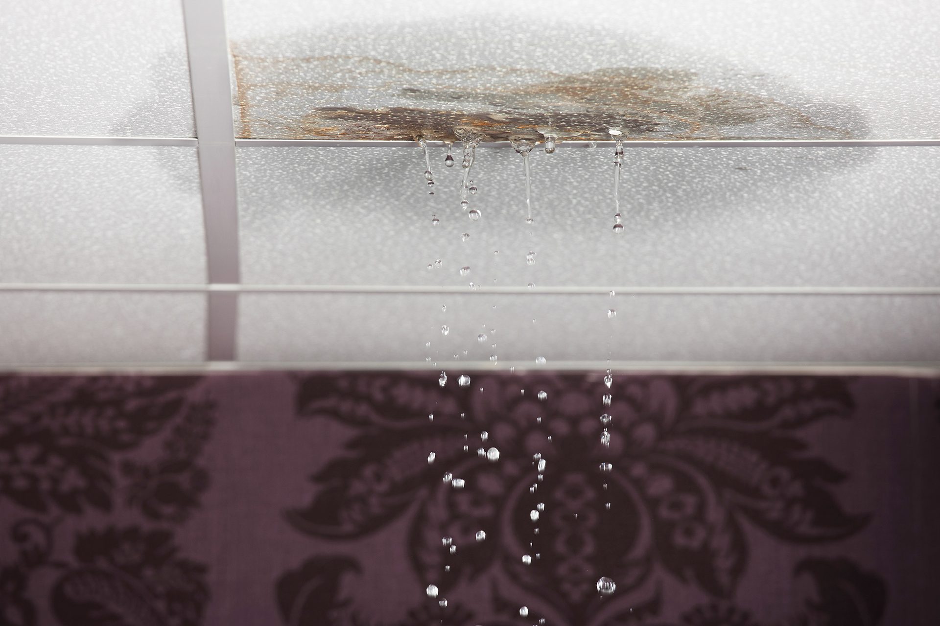 Burst pipes